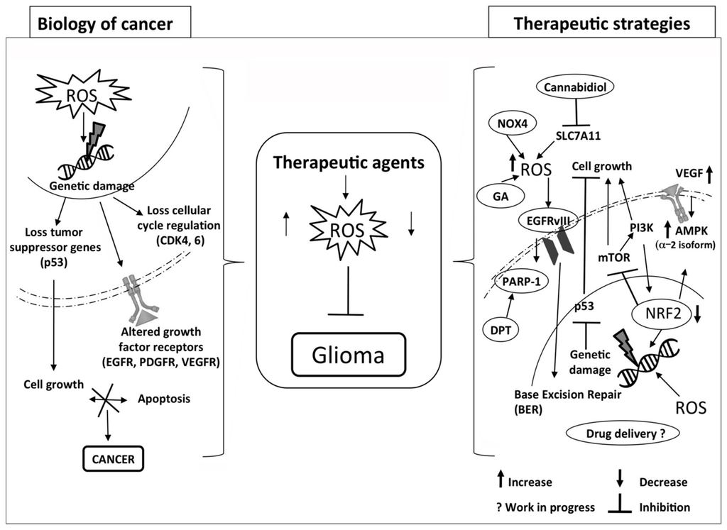 Glioblastoma multiforme academic essay