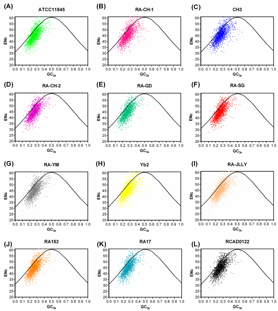 beneath clouds analysis beneath clouds analysis