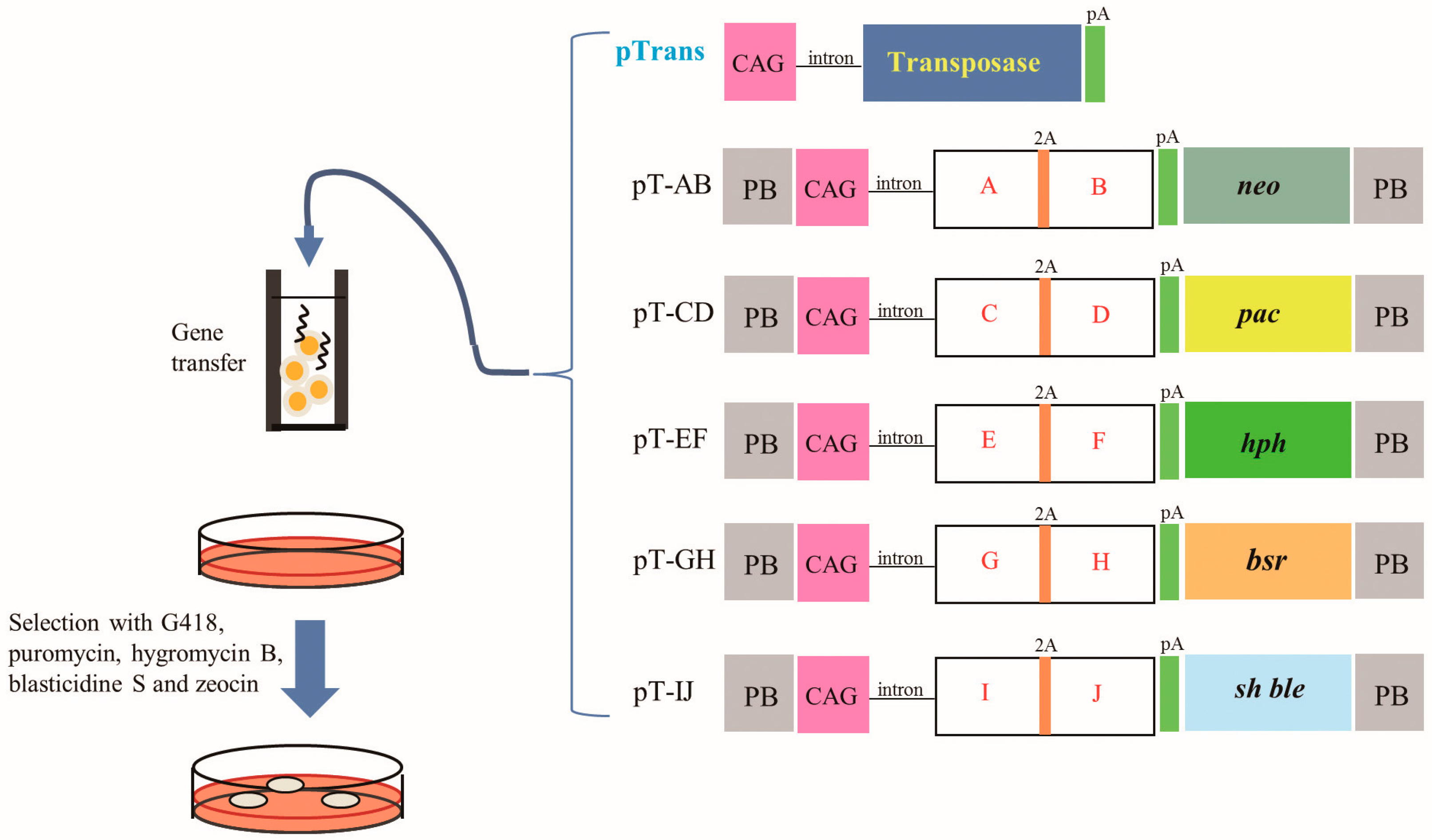 Recombinant dna research papers
