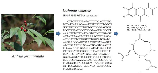 fungi research papers fungi research papers