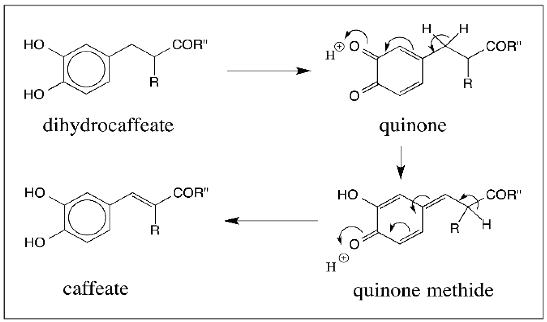 IJMS Free FullText Reactivities of Quinone Methides versus o