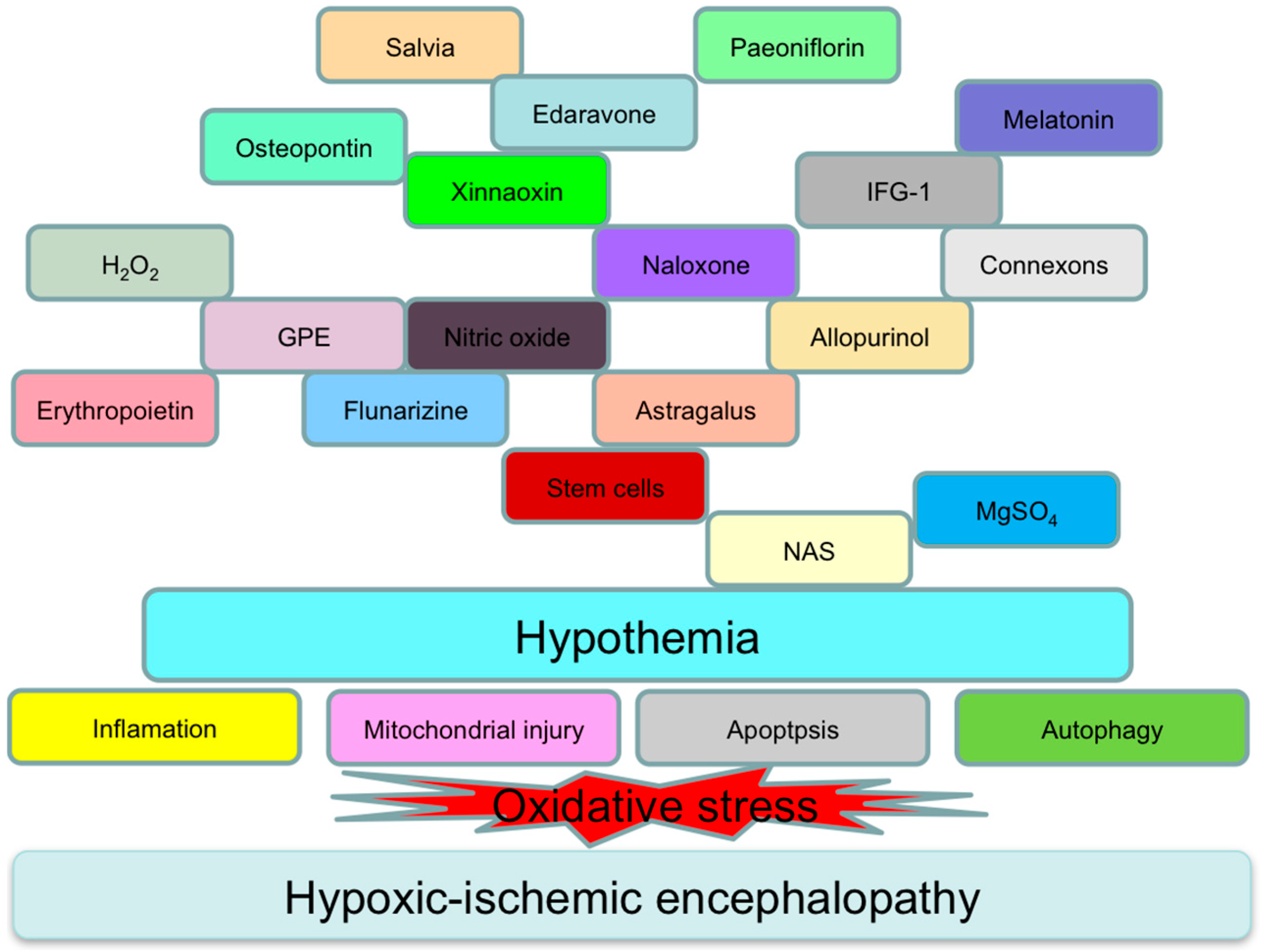 hypoxic ischemic encephalopathy