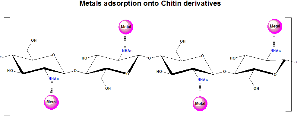 IJMS | Free Full-Text | Chitin Adsorbents for Toxic Metals: A Review IJMS | Free Full-Text | Chitin Adsorbents for Toxic Metals: A Review