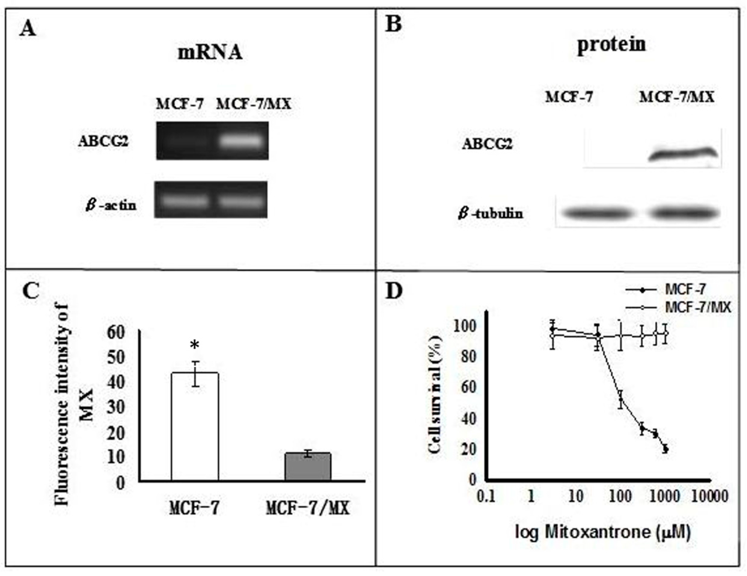 research paper estrogen International journal of scientific & engineering research of estrogen receptor negative cancers for the treatment of estrogen receptor negative. research paper estrogen International journal of scientific & engineering research of estrogen receptor negative cancers for the treatment of estrogen receptor negative.