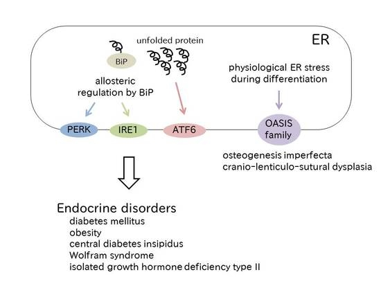 Type ii diabetes research papers