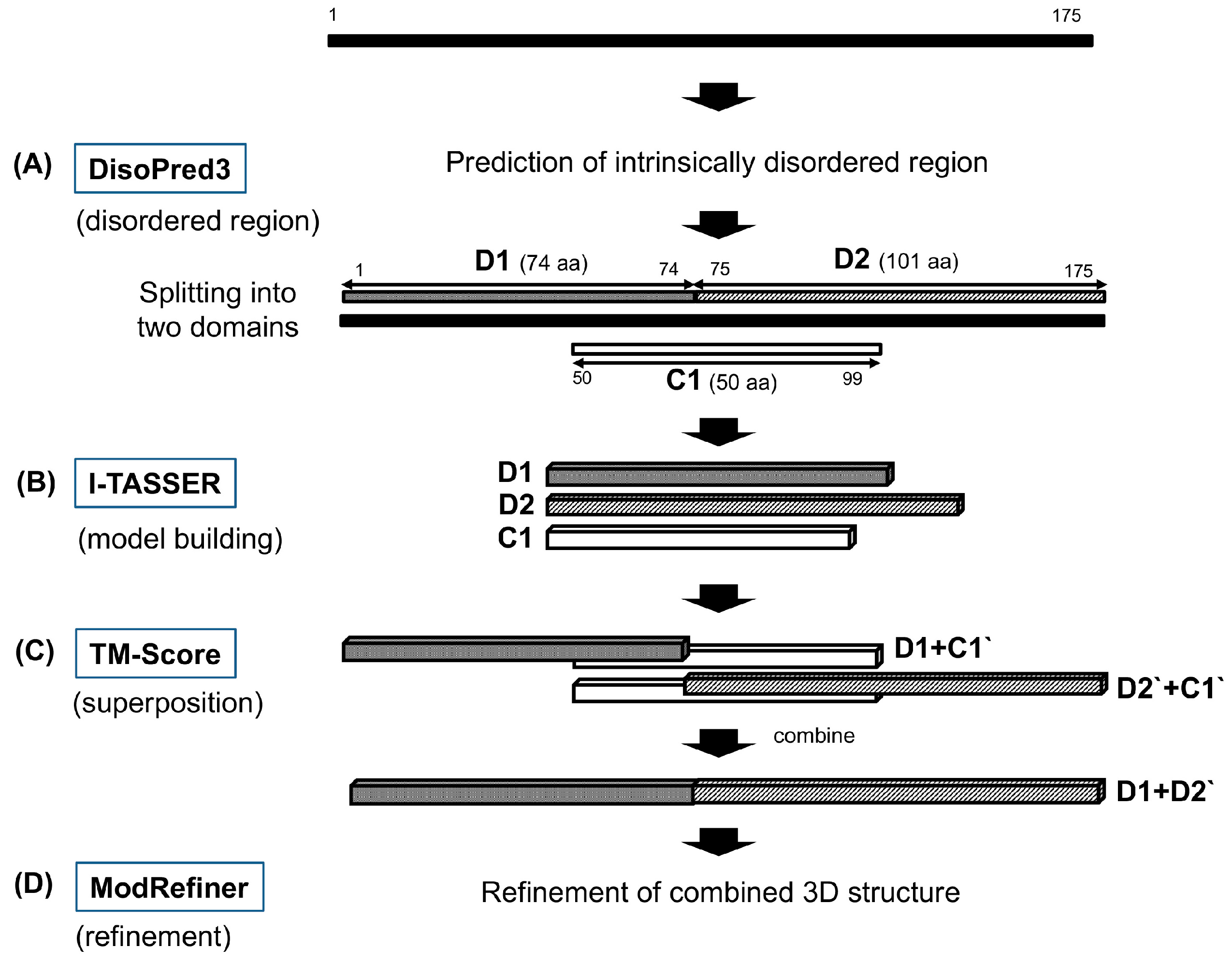 ijms free full text molecular