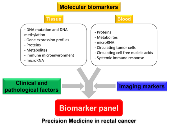 ijms free full text molecular