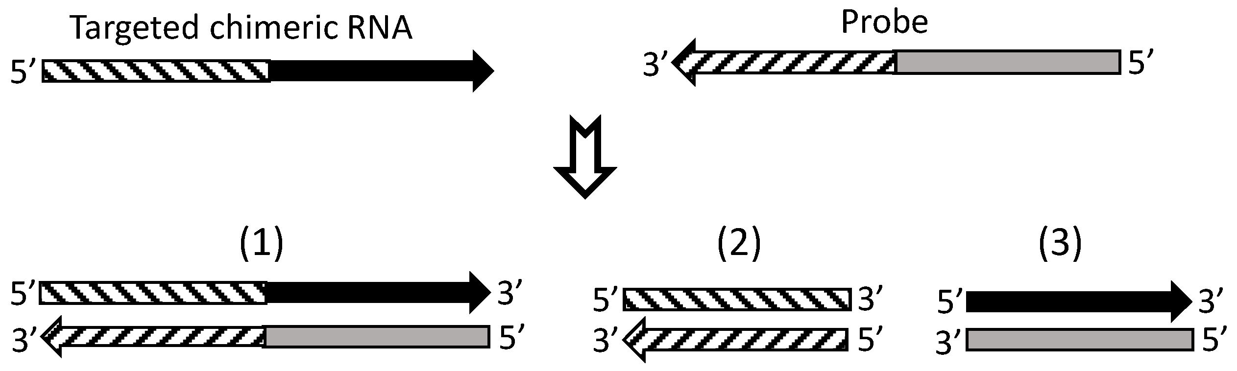 Ijms 18 00714 g005