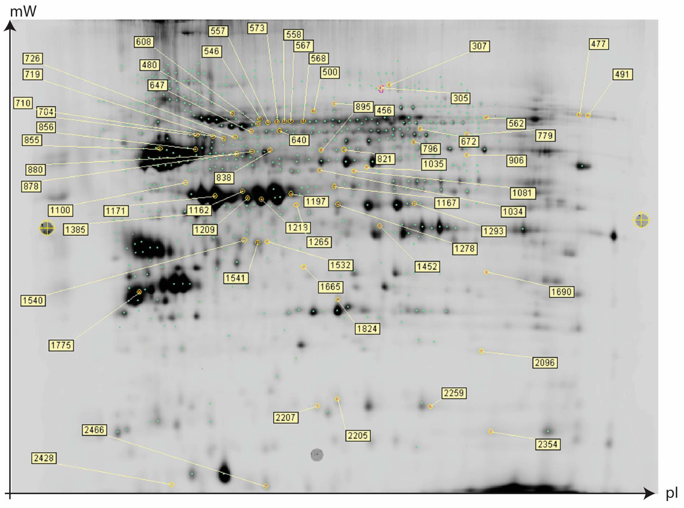 Ijms 18 00725 g002