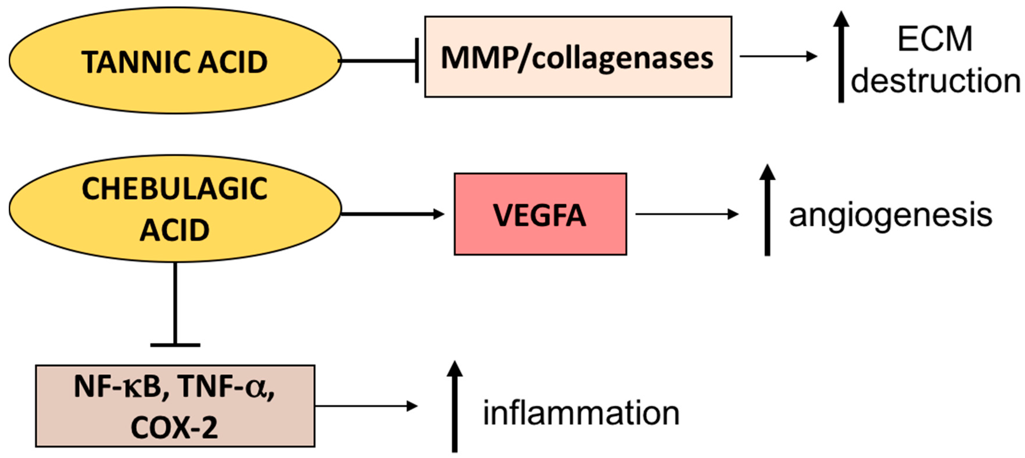 Ijms 18 01068 g003