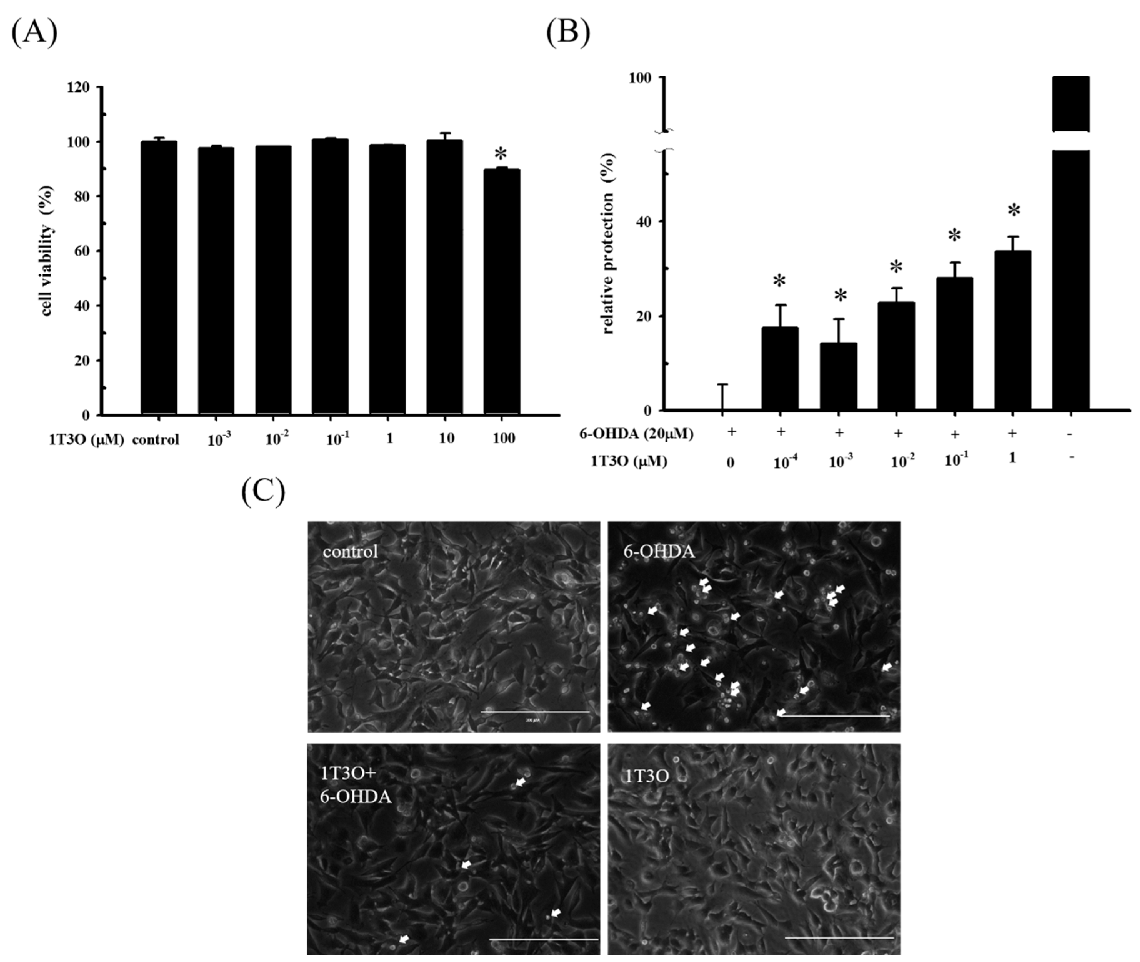Ijms 18 01096 g002