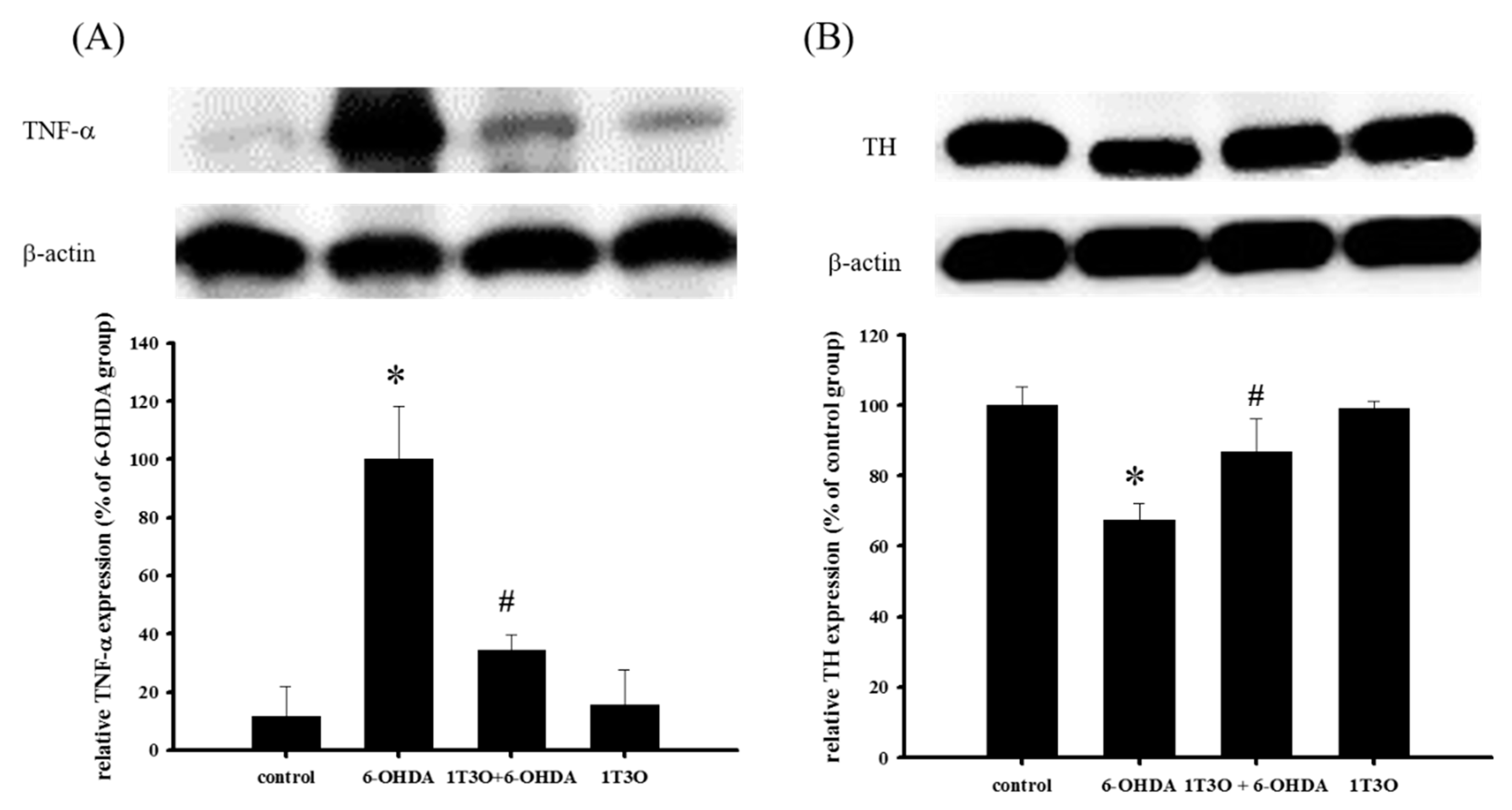 Ijms 18 01096 g011