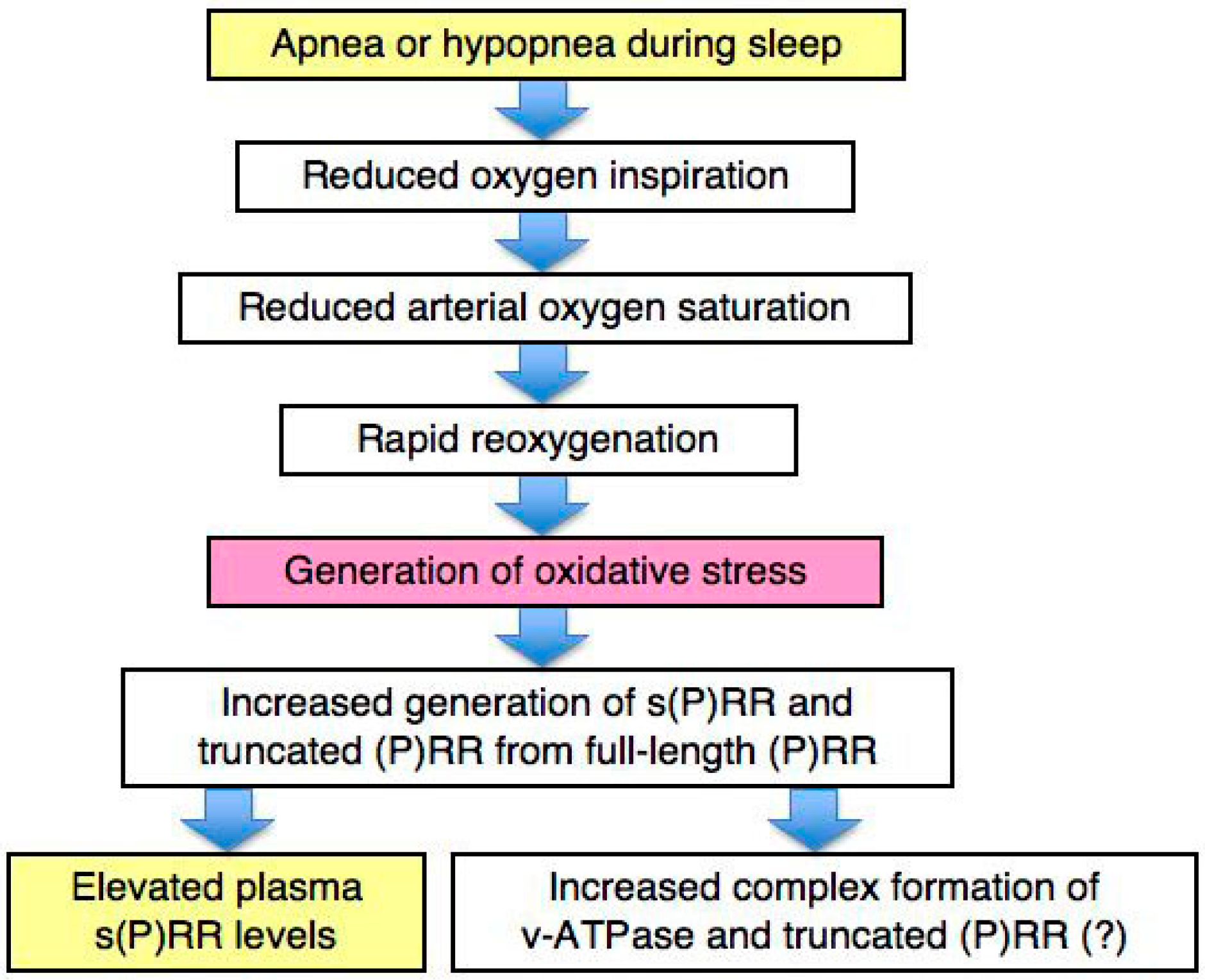 OBSTRUCTIVE SLEEP APNEA SYNDROME DOWNLOAD OBSTRUCTIVE SLEEP APNEA SYNDROME DOWNLOAD
