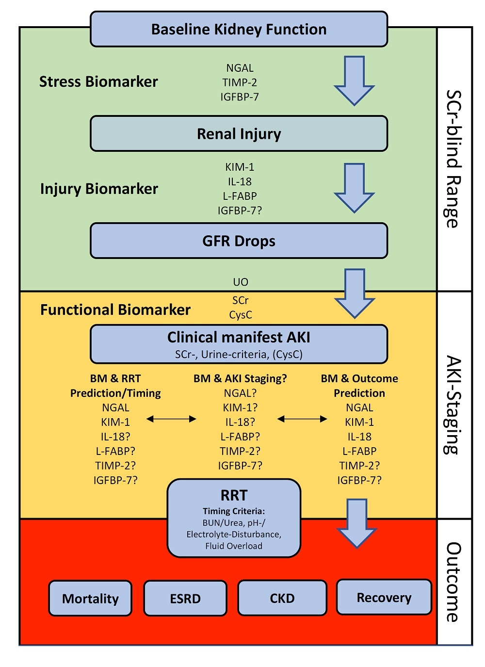 IJMS | Free Full-Text | Issues of Acute Kidney Injury Staging and