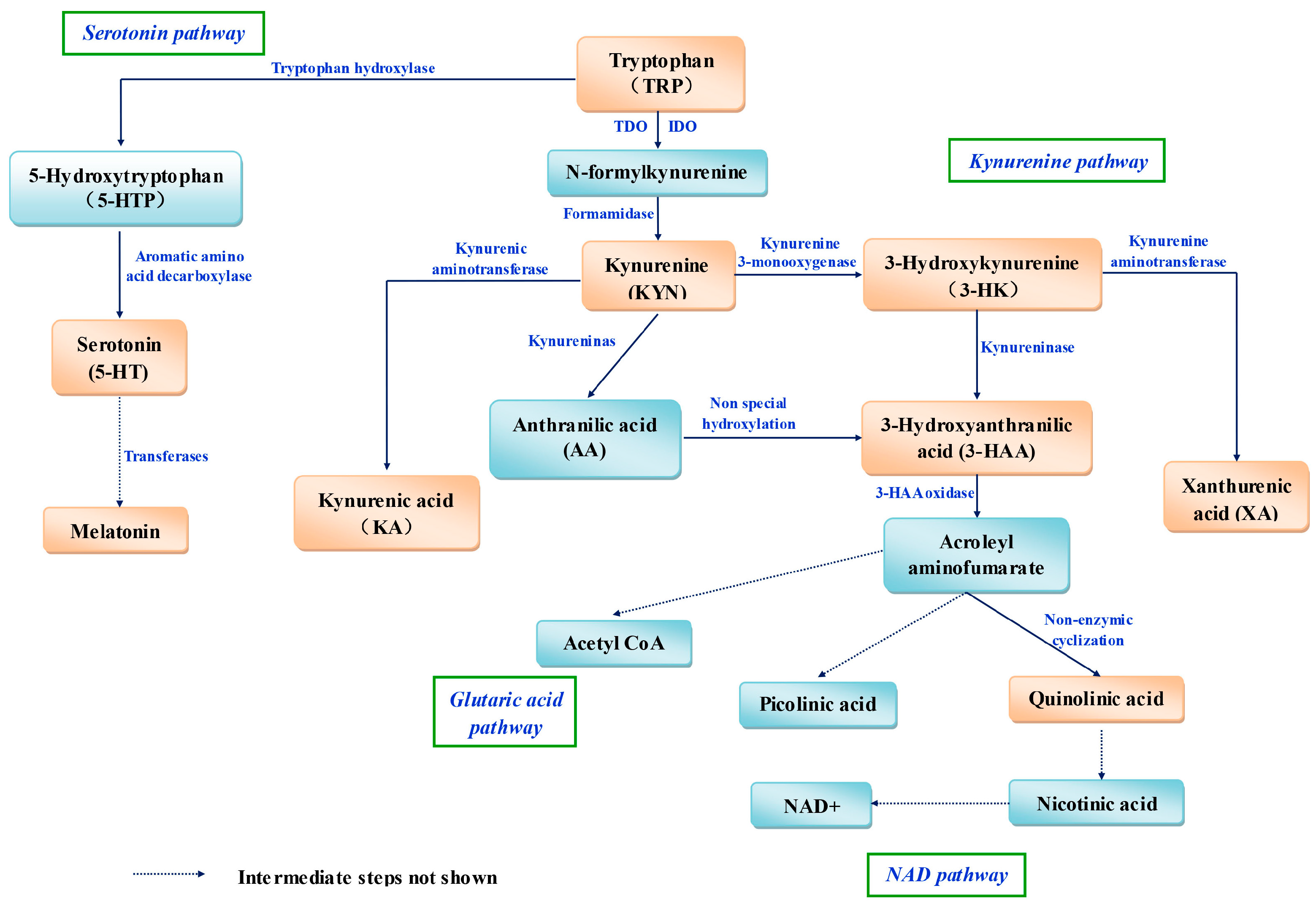 Ijms 18 01595 g001 Ijms 18 01595 g001