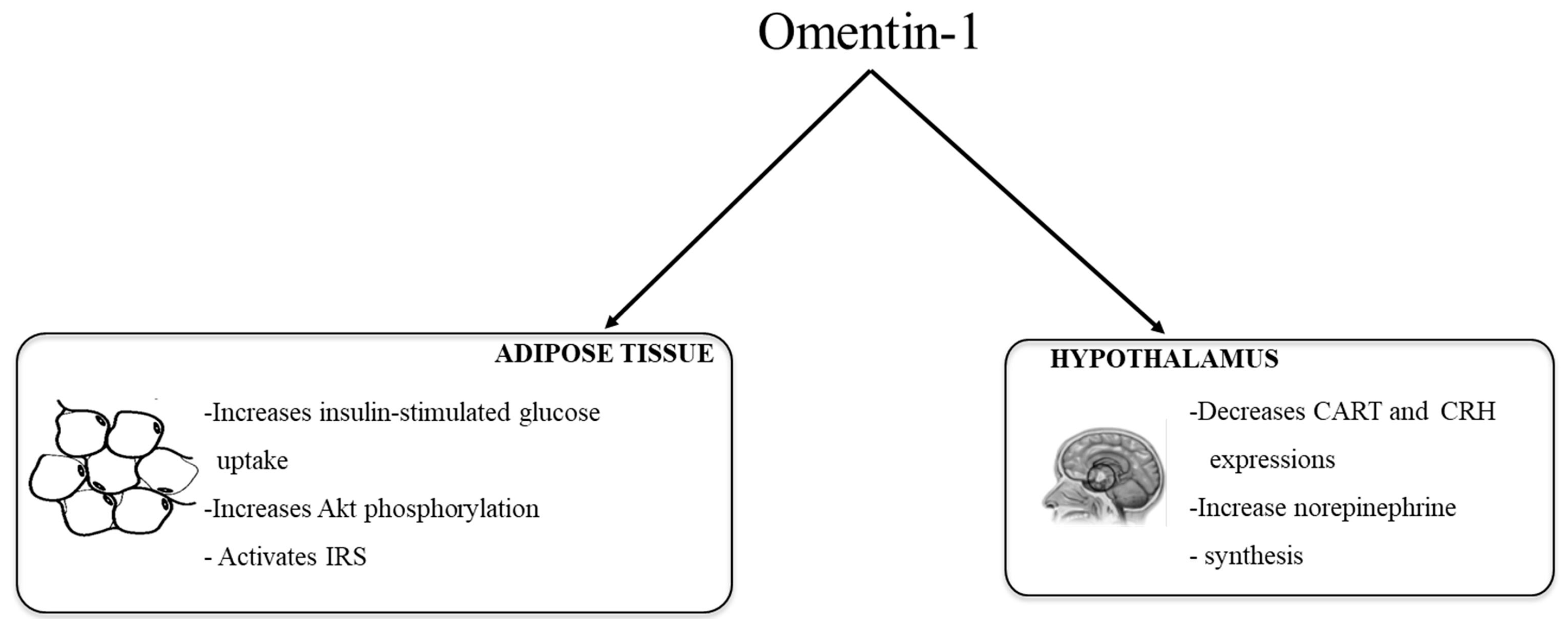Ijms 18 01770 g001