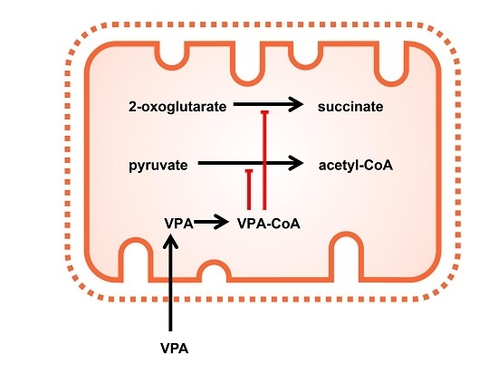 Valproic Acid Toxicity Icd 9