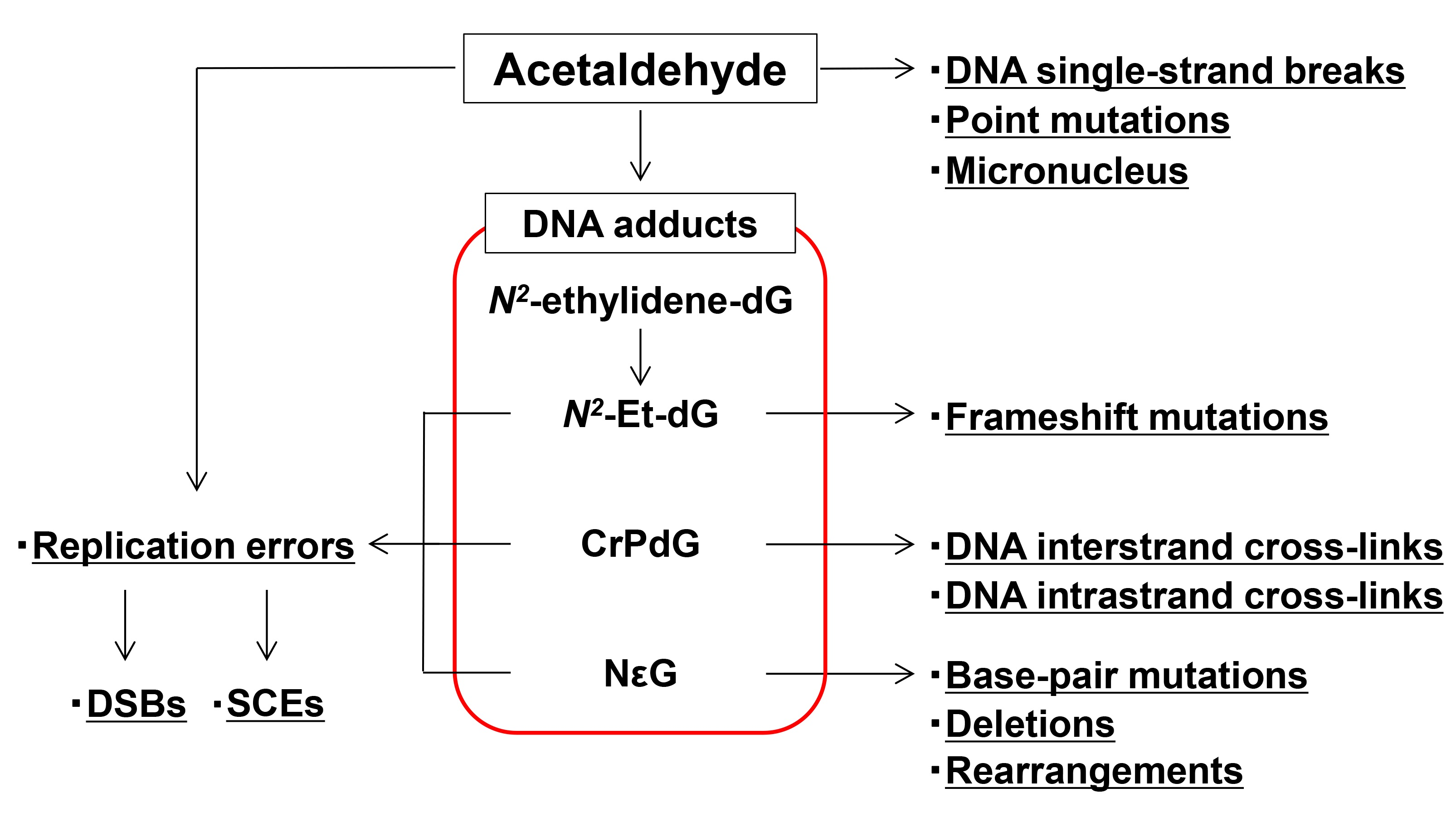 ijms free full text molecular