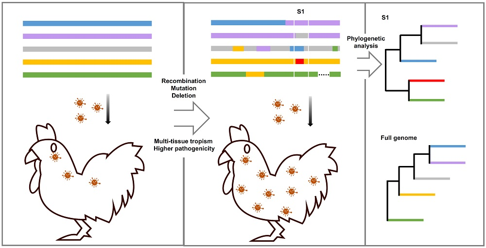 ijms free full text molecular