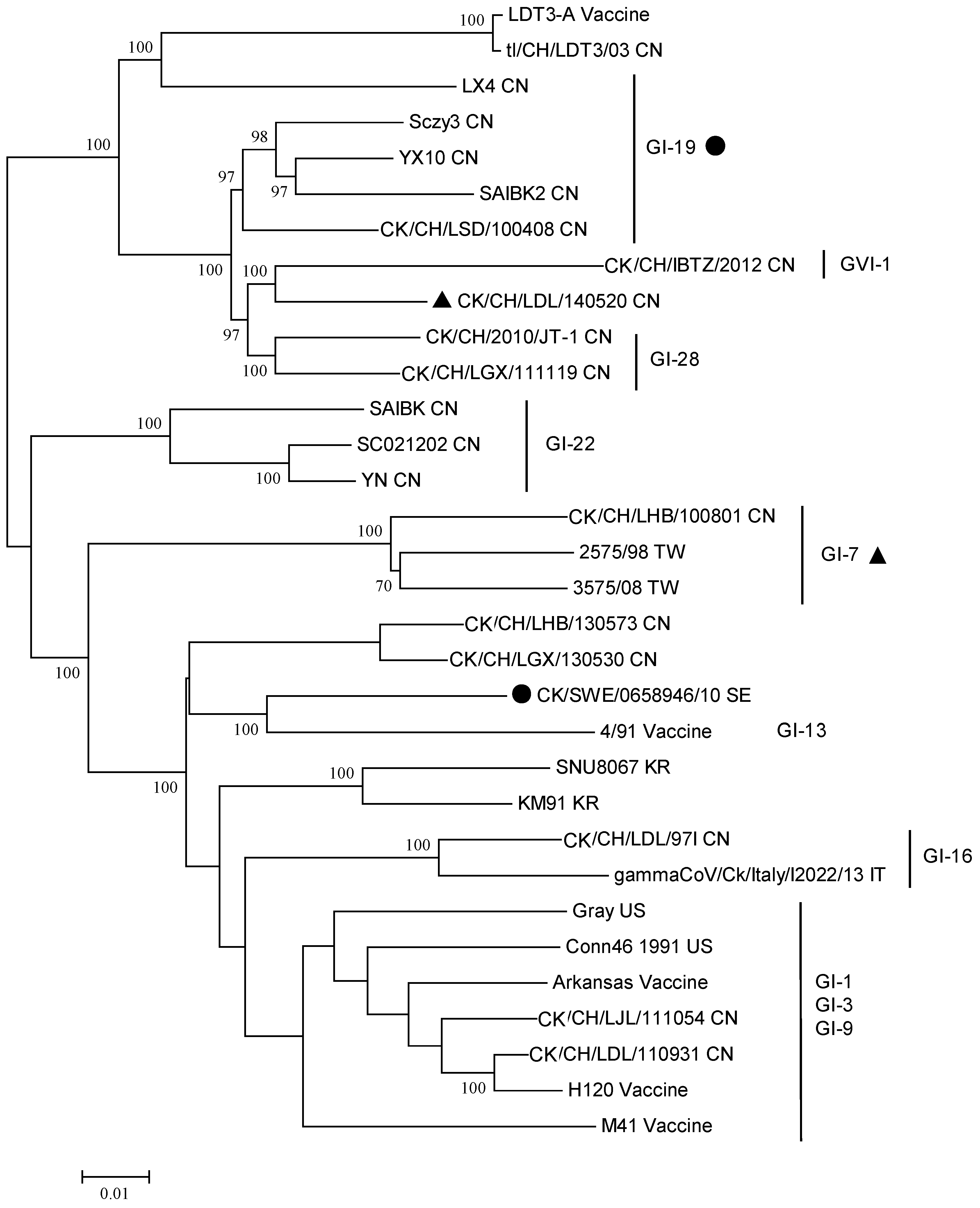 ijms free full text molecular