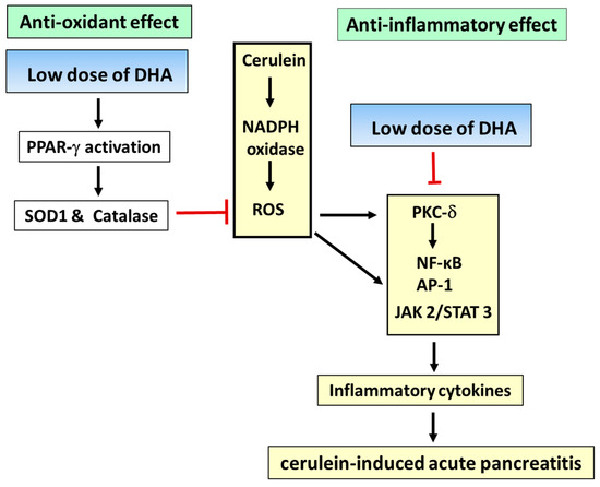 the aetiology of autism essay The opioid-excess hypothesis of autism suggests that autism is the consequence of the incomplete the introduction of a gluten-free diet to children with autism and associated spectrum disorders 'sulphate metabolism in allergy-induced autism: relevance to the disease aetiology. the aetiology of autism essay The opioid-excess hypothesis of autism suggests that autism is the consequence of the incomplete the introduction of a gluten-free diet to children with autism and associated spectrum disorders 'sulphate metabolism in allergy-induced autism: relevance to the disease aetiology.