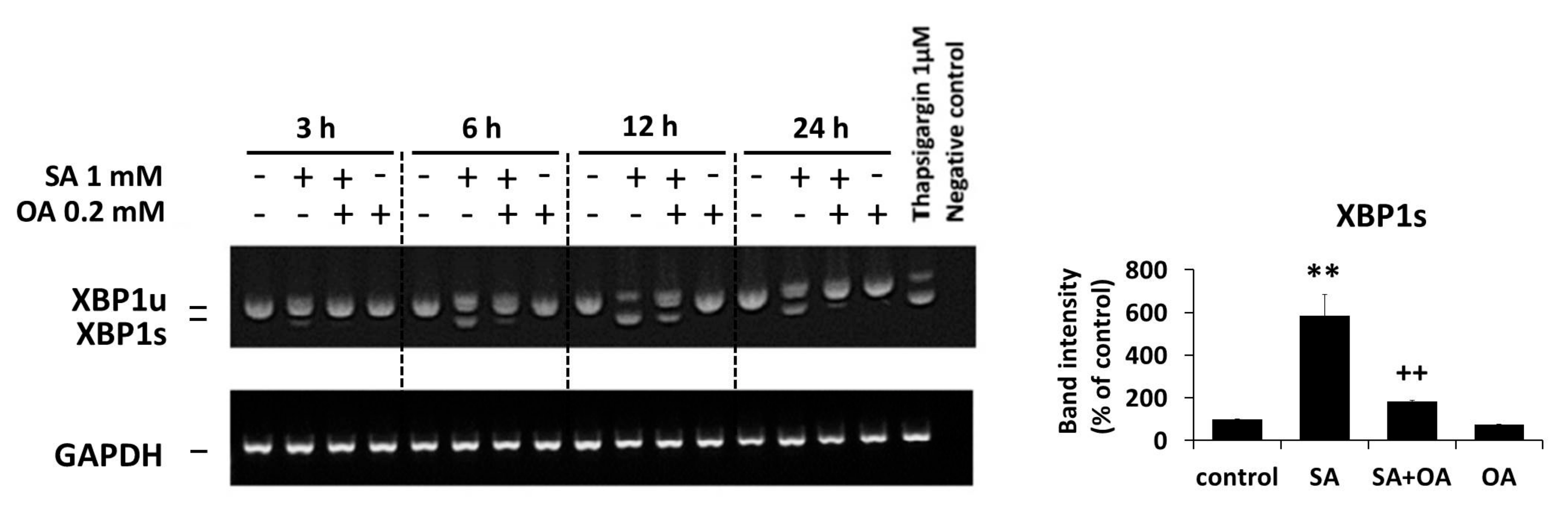 Ijms 18 02313 g005