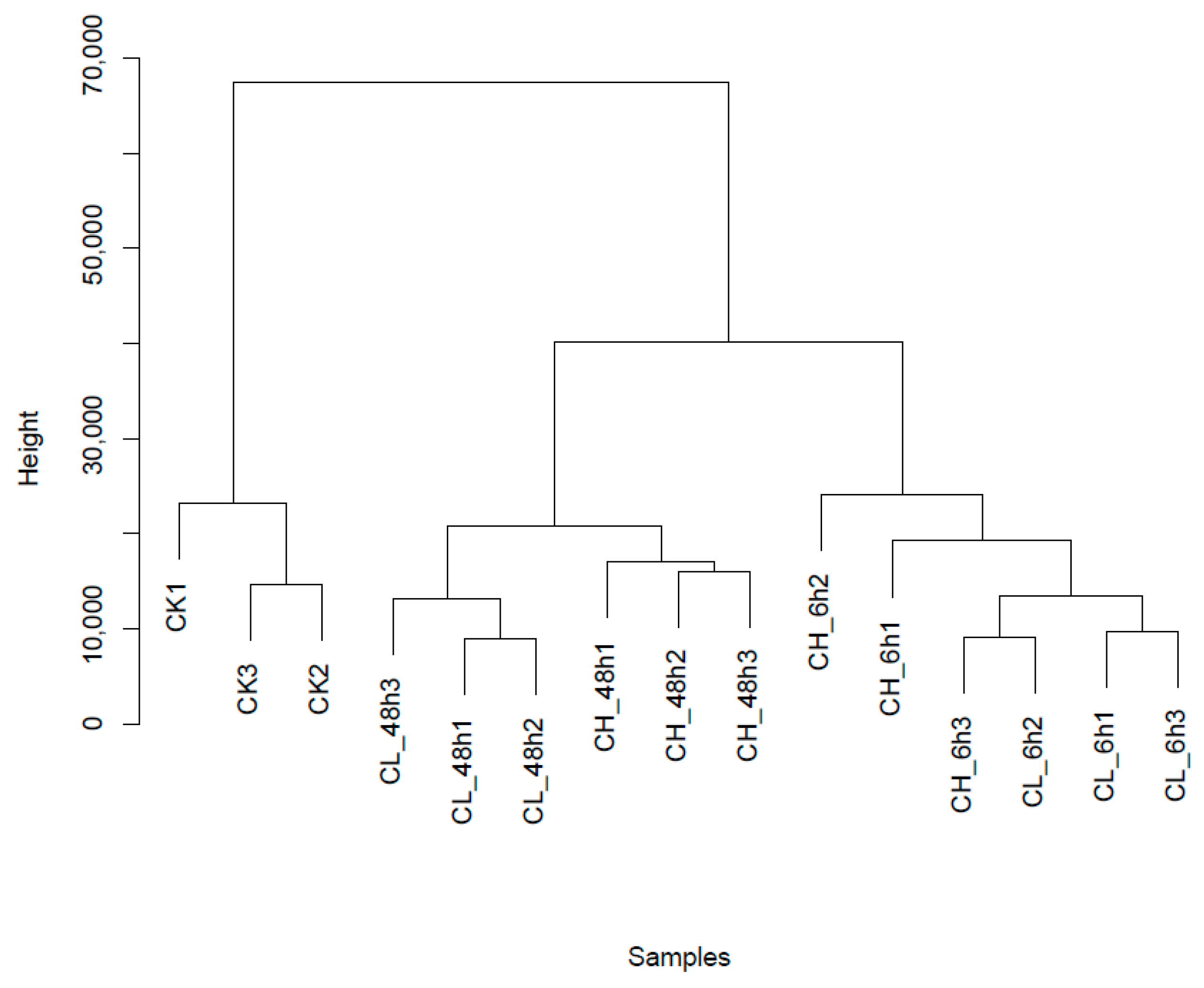 Differential File Compression Differential File Compression