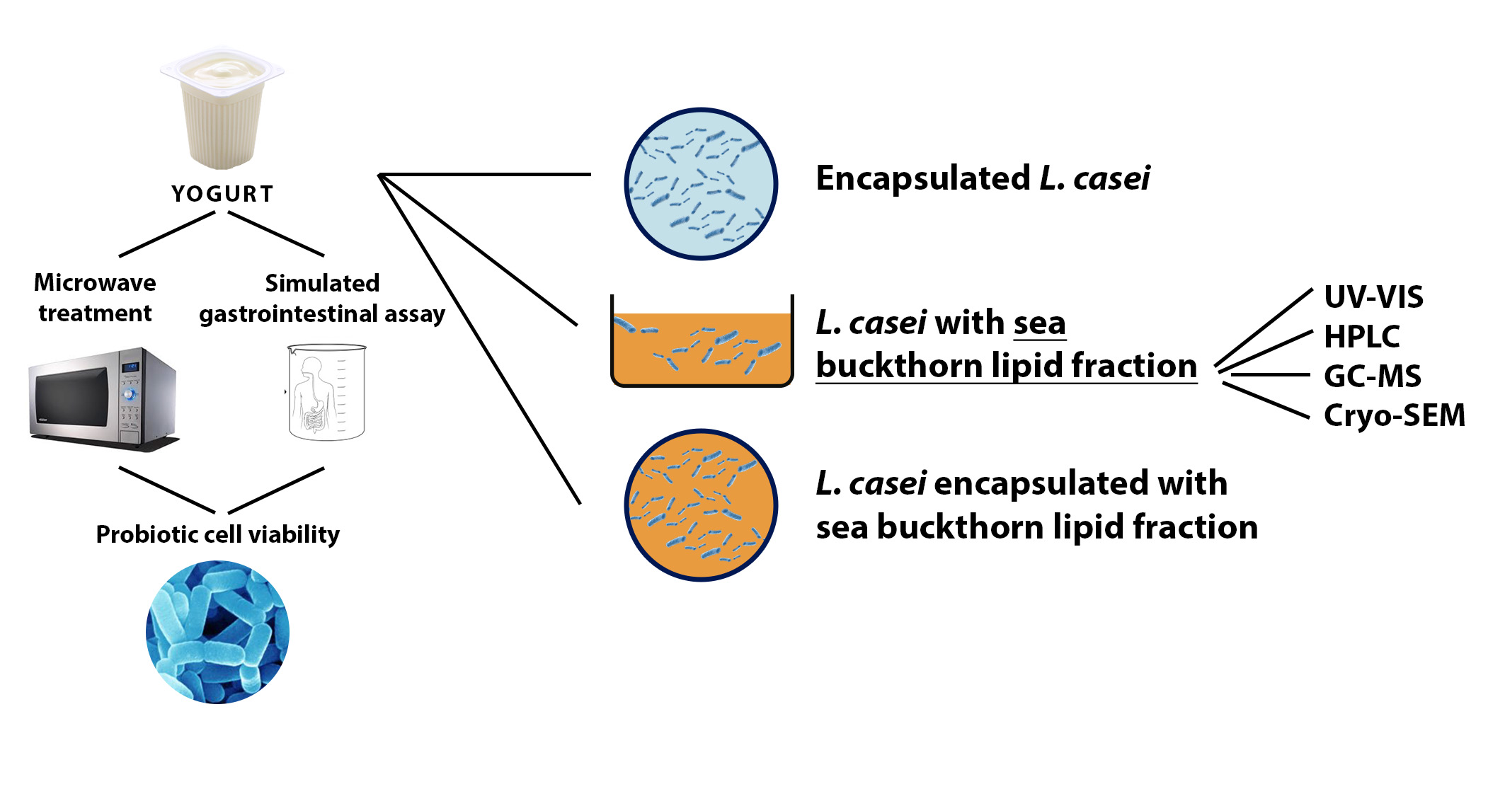 ijms free full text extraction