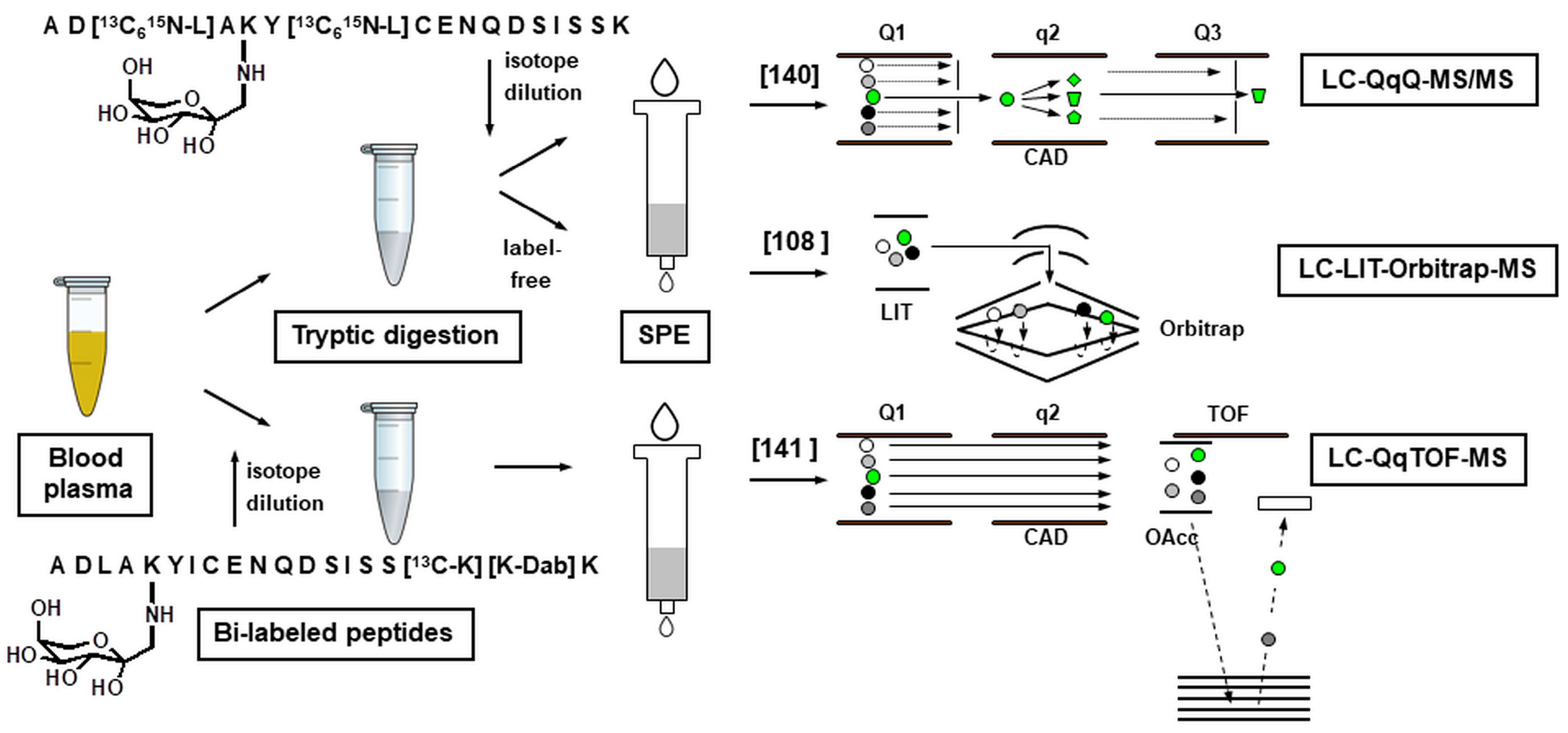 ijms free full text maillard proteomics opening new pages html dla form 1864
