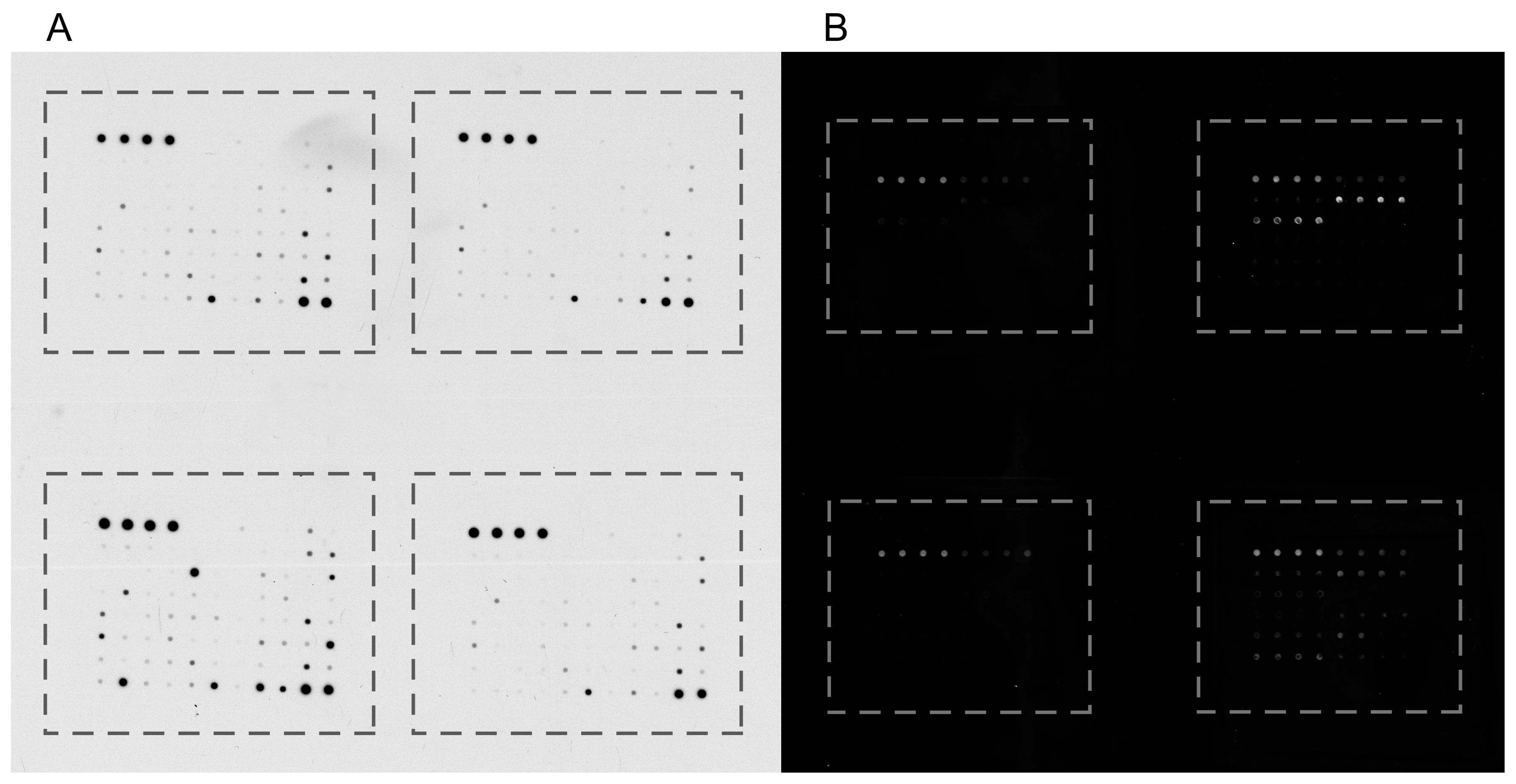 Ijms Free Full Text Advances In Proteomic Techniques For Ijms 18 02697 G004