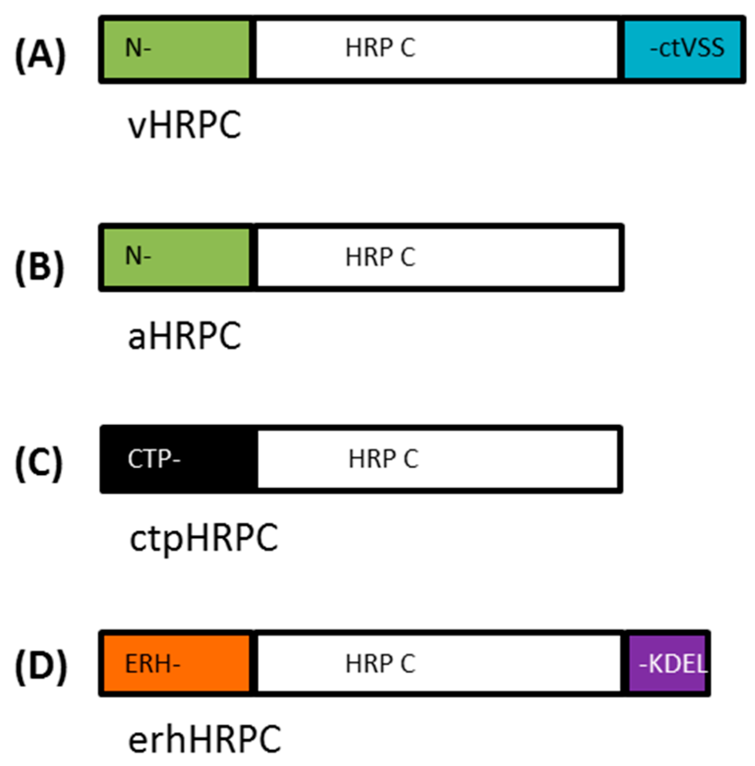IJMS Free FullText Transient Expression and Purification of