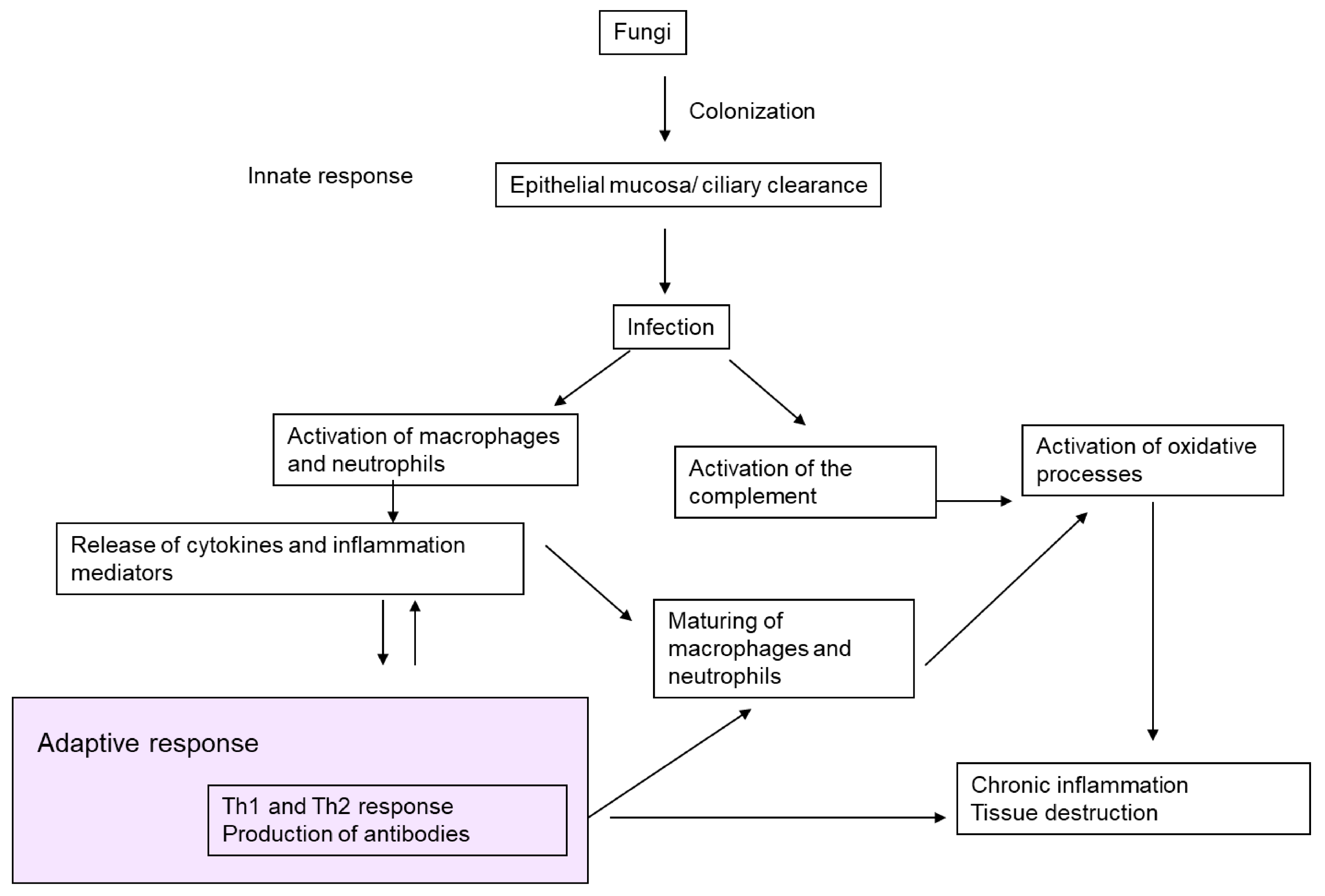 Ijms 19 00142 g001 Ijms 19 00142 g001