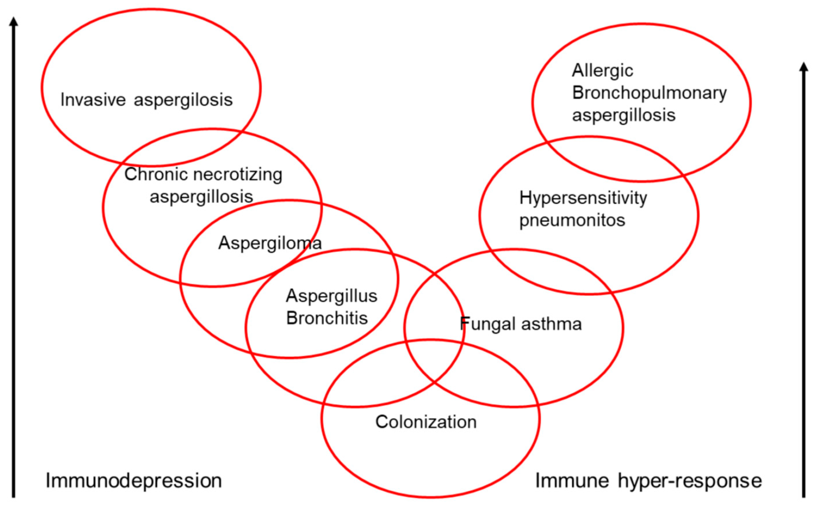 Ijms 19 00142 g002 Ijms 19 00142 g002