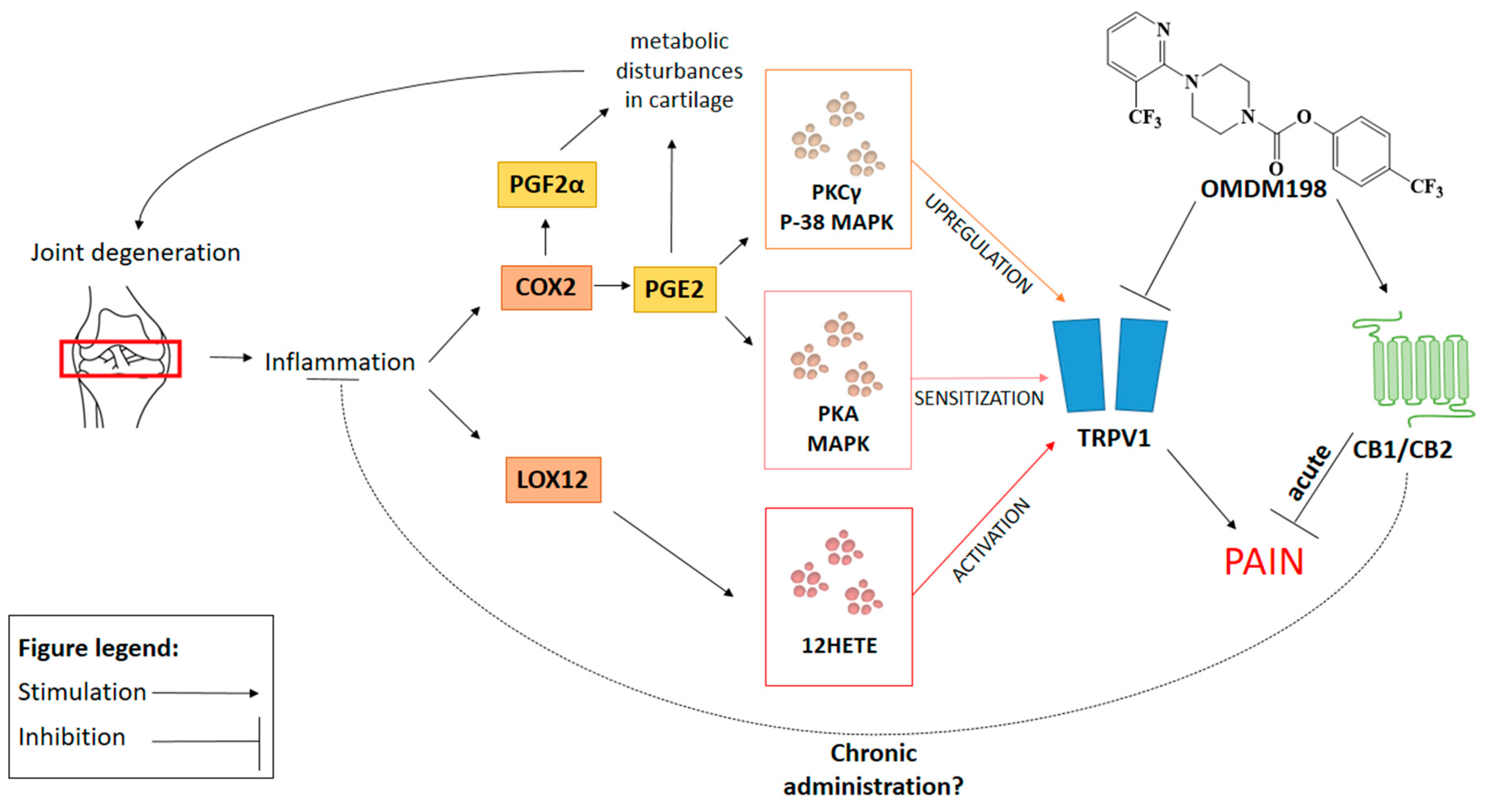 ijms free full text molecular