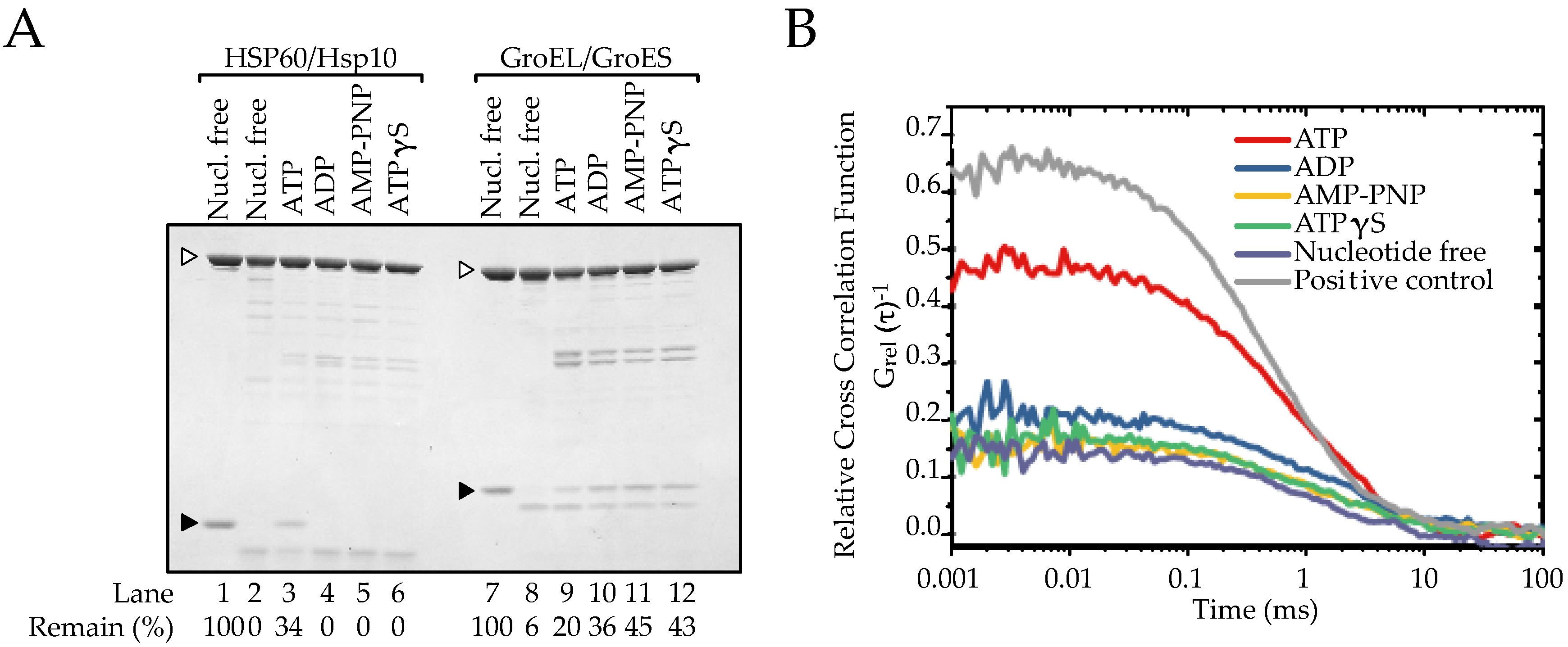 ijms free full text molecular