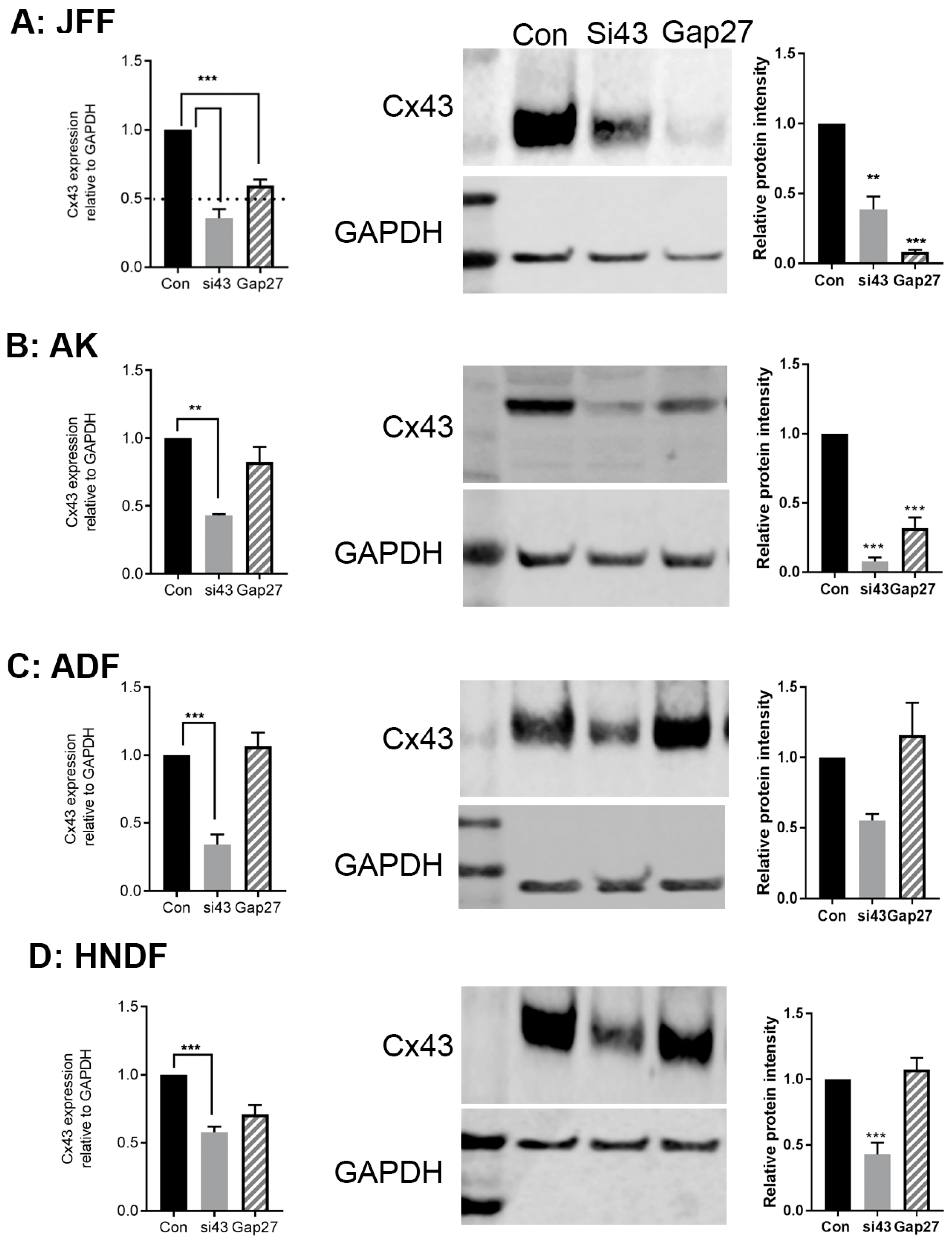 Ijms 19 00604 g004 Ijms 19 00604 g004