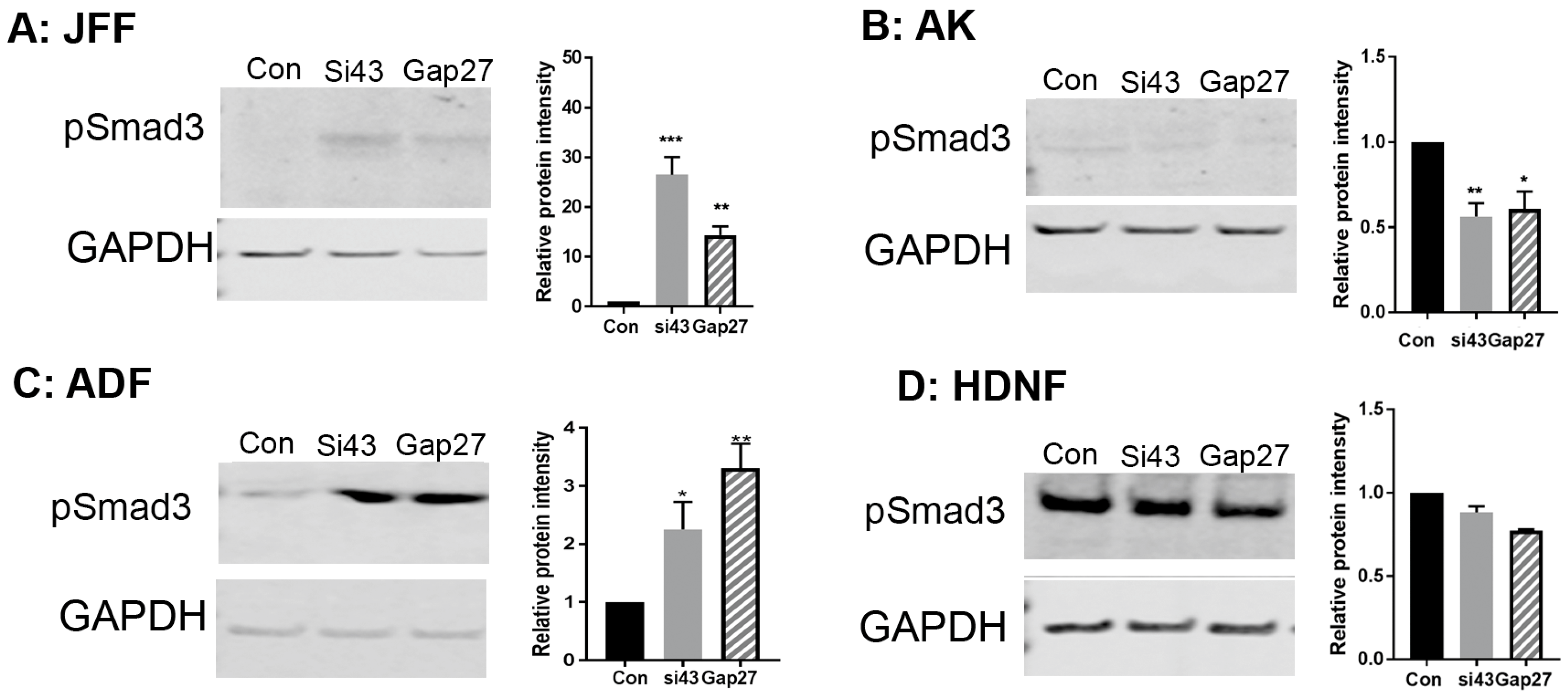 Ijms 19 00604 g006 Ijms 19 00604 g006