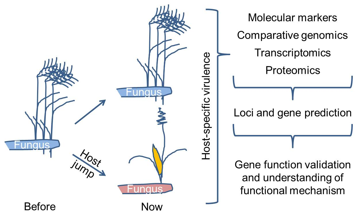 ijms free full text molecular