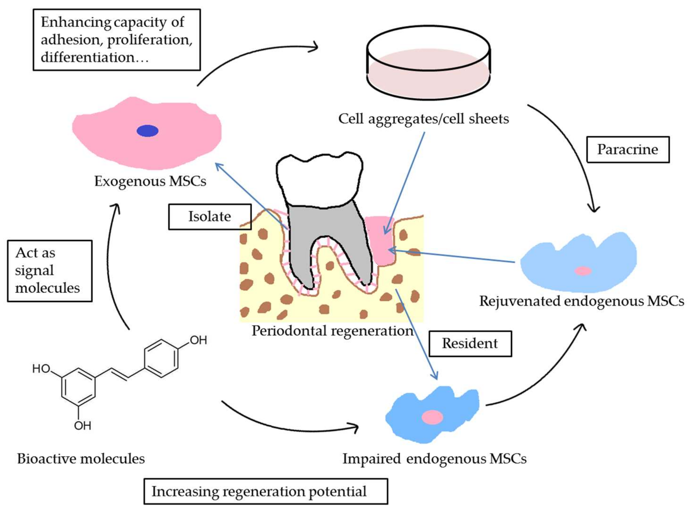 ijms free full text molecular