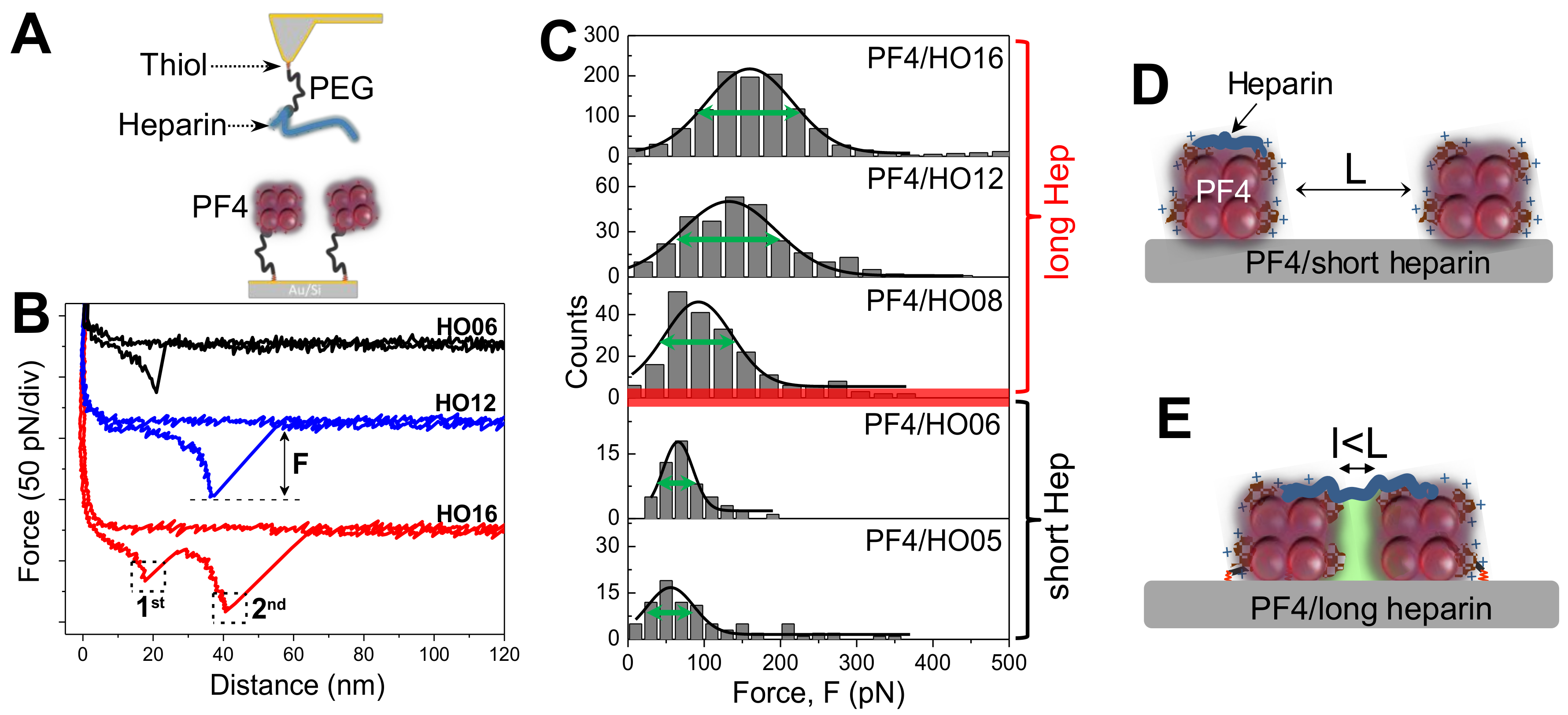 ijms free full text molecular