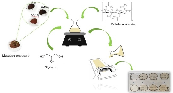 生物素 脂肪 オロナイン   毛穴