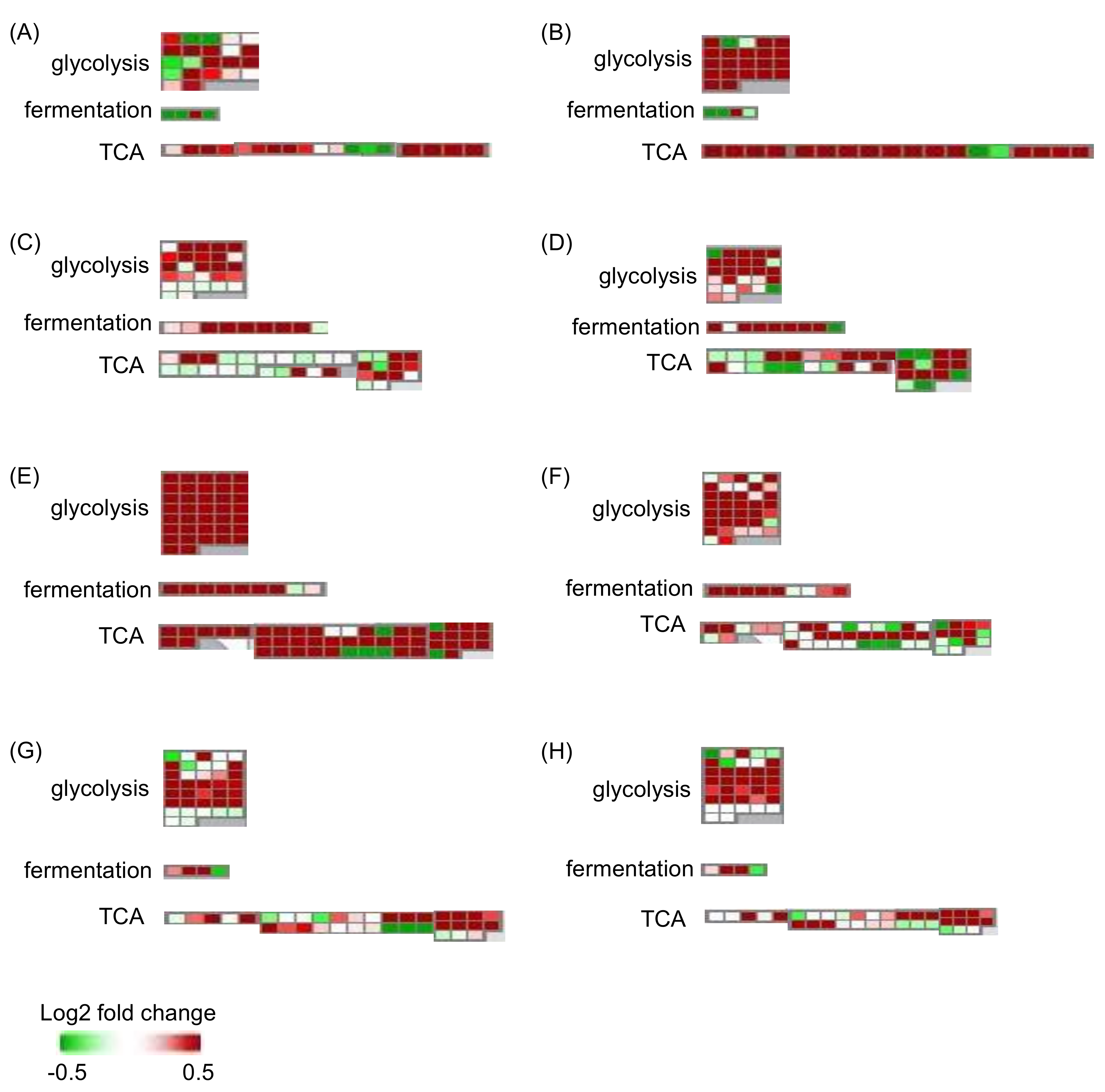 Ijms 19 01301 g002 Ijms 19 01301 g002