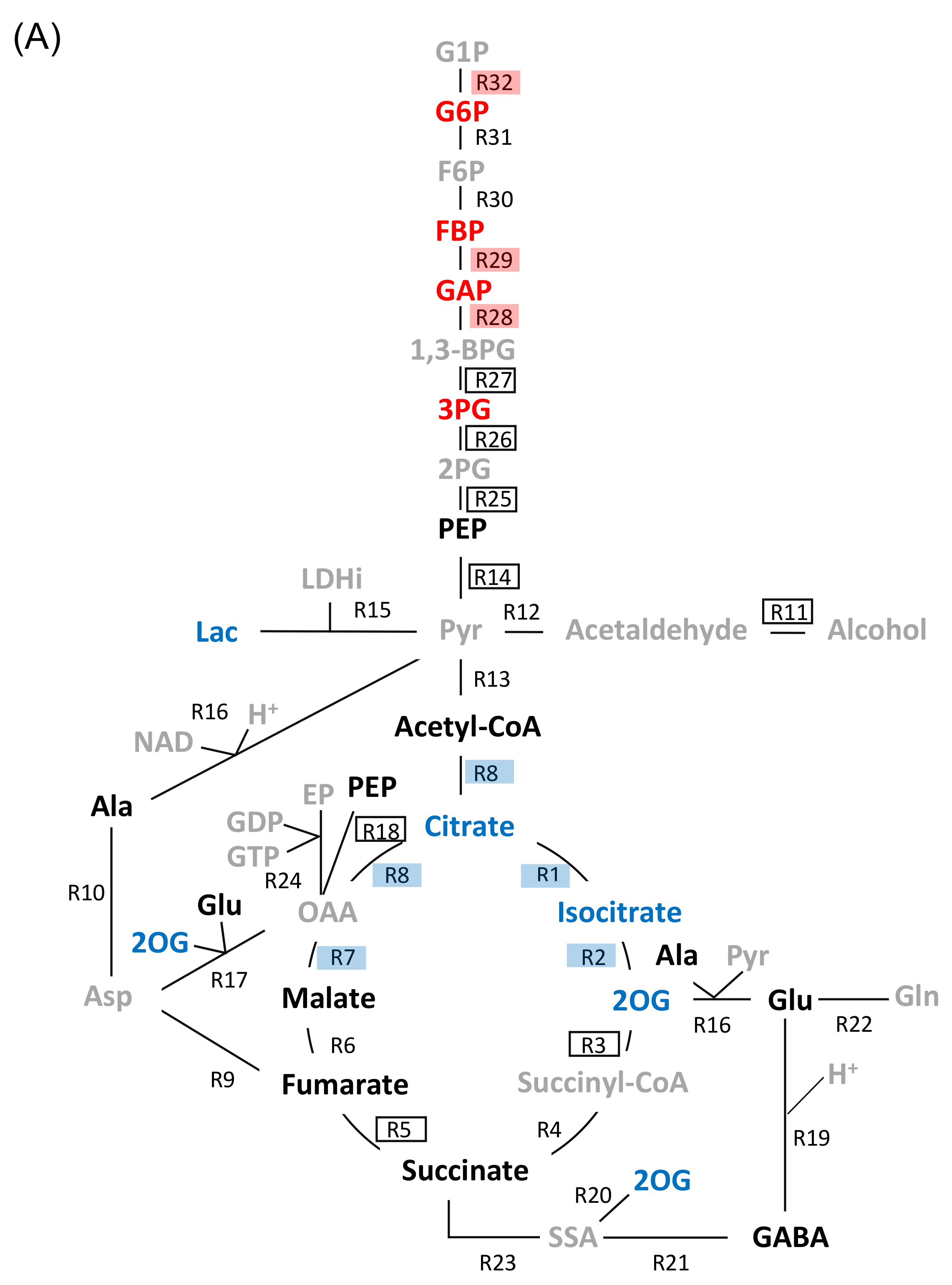 Ijms 19 01301 g003a Ijms 19 01301 g003a