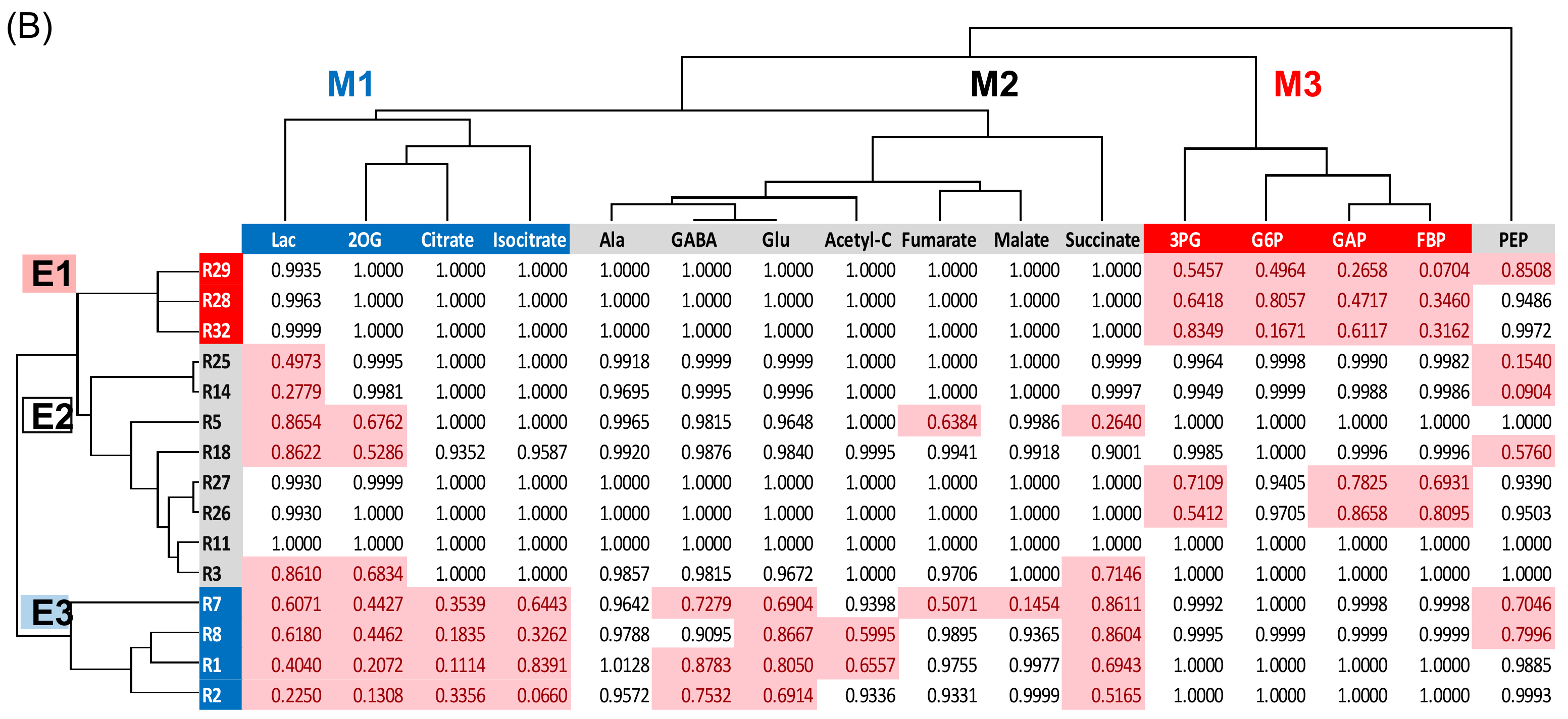 Ijms 19 01301 g003b Ijms 19 01301 g003b