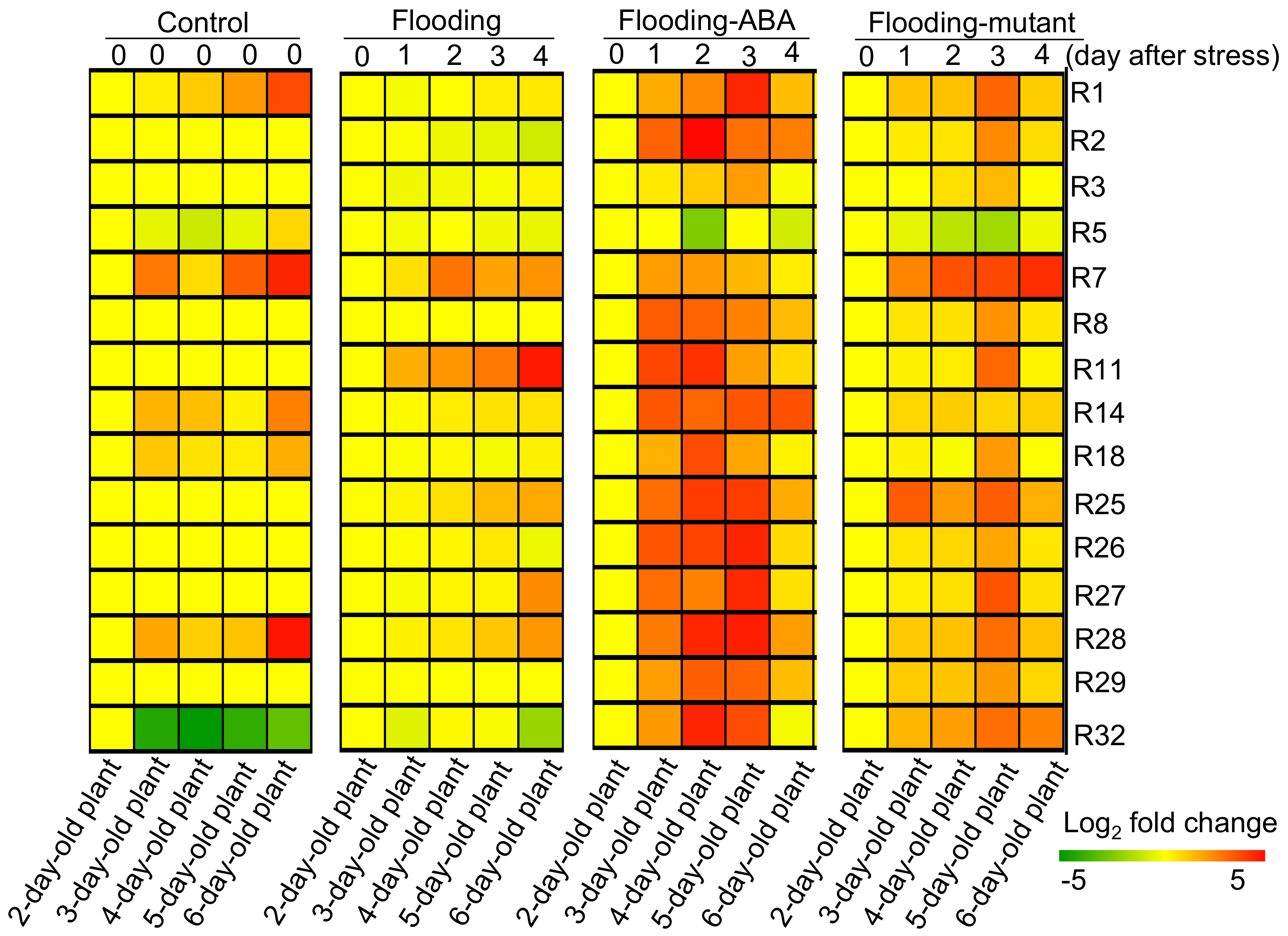 Ijms 19 01301 g004 Ijms 19 01301 g004