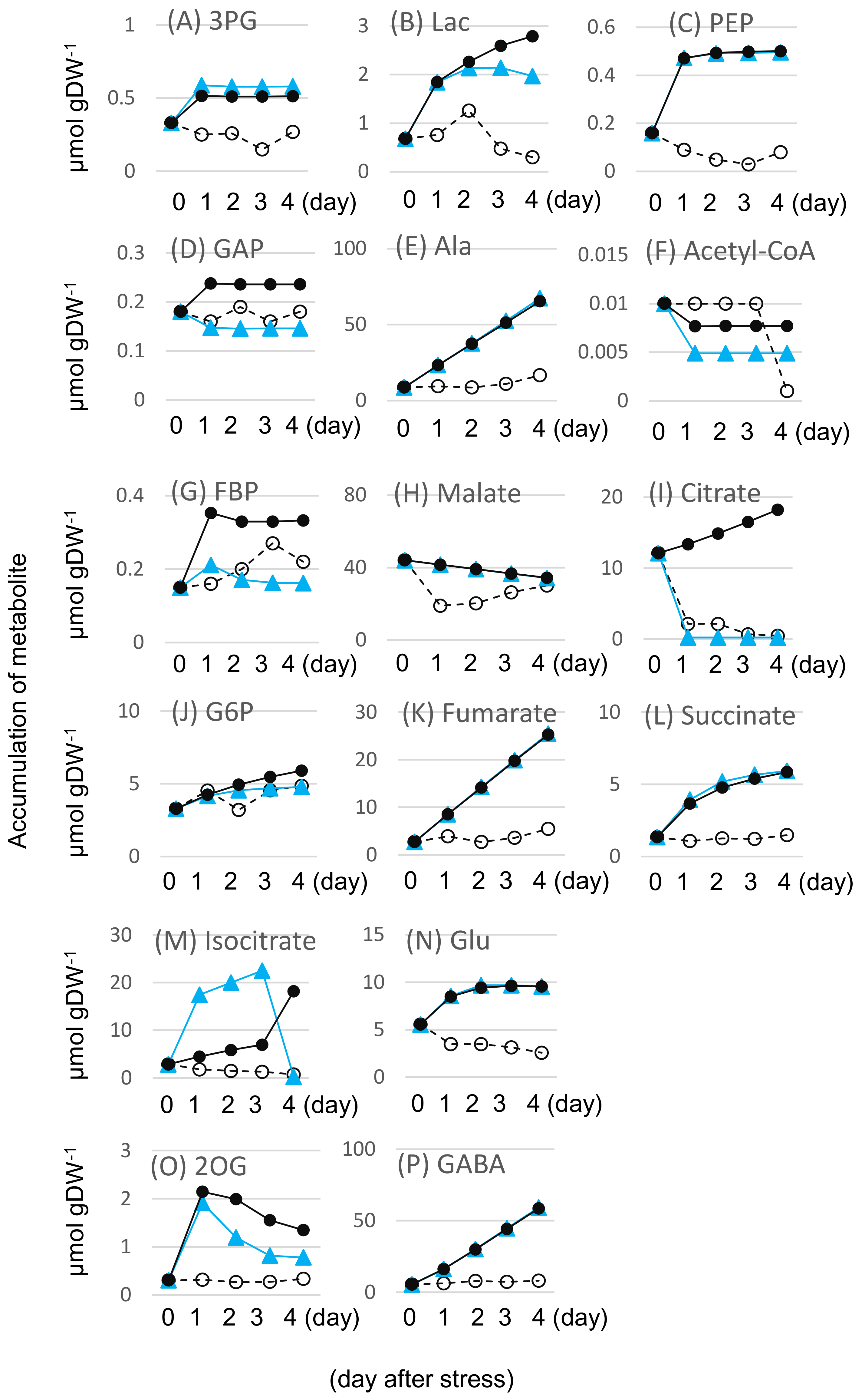 Ijms 19 01301 g005 Ijms 19 01301 g005