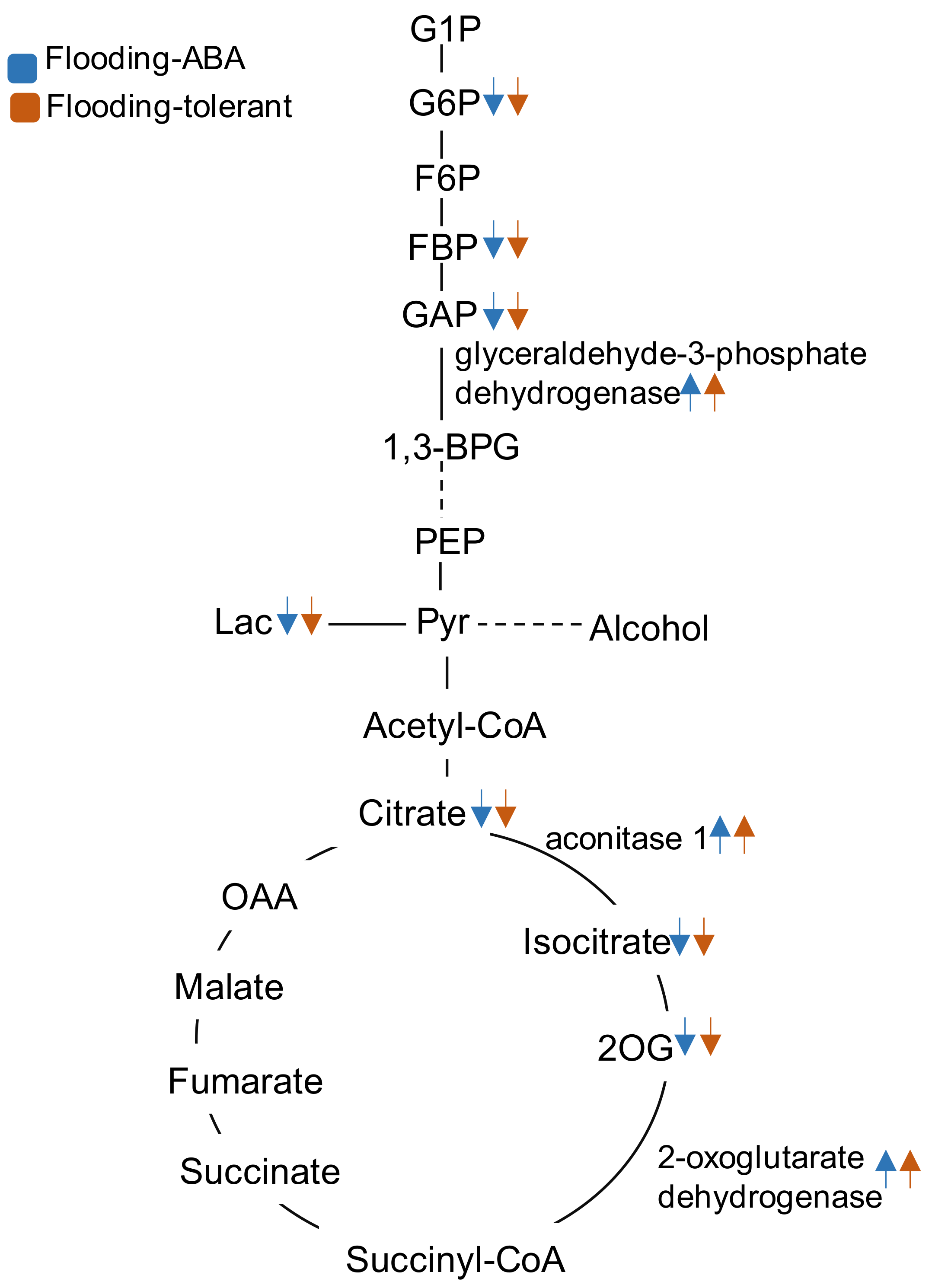 Ijms 19 01301 g008 Ijms 19 01301 g008