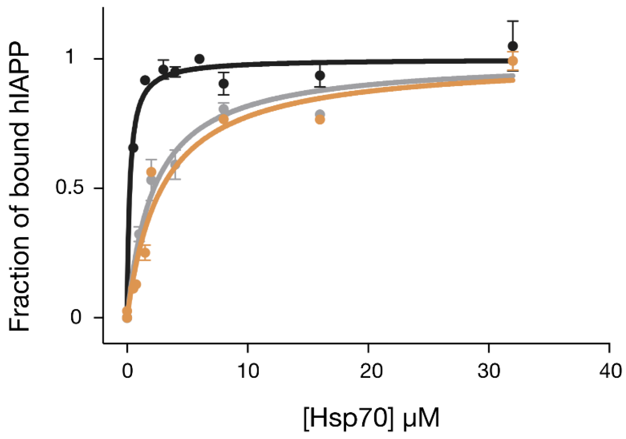 Ijms 19 01443 g004