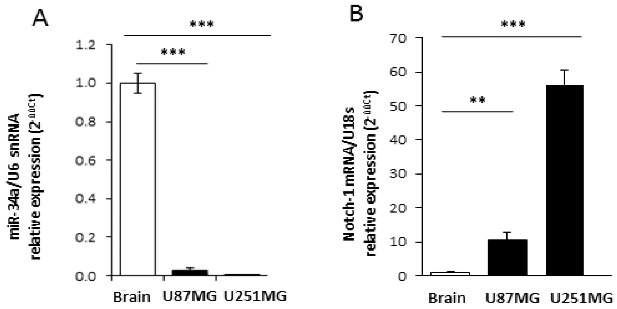 Ijms 19 01631 g002