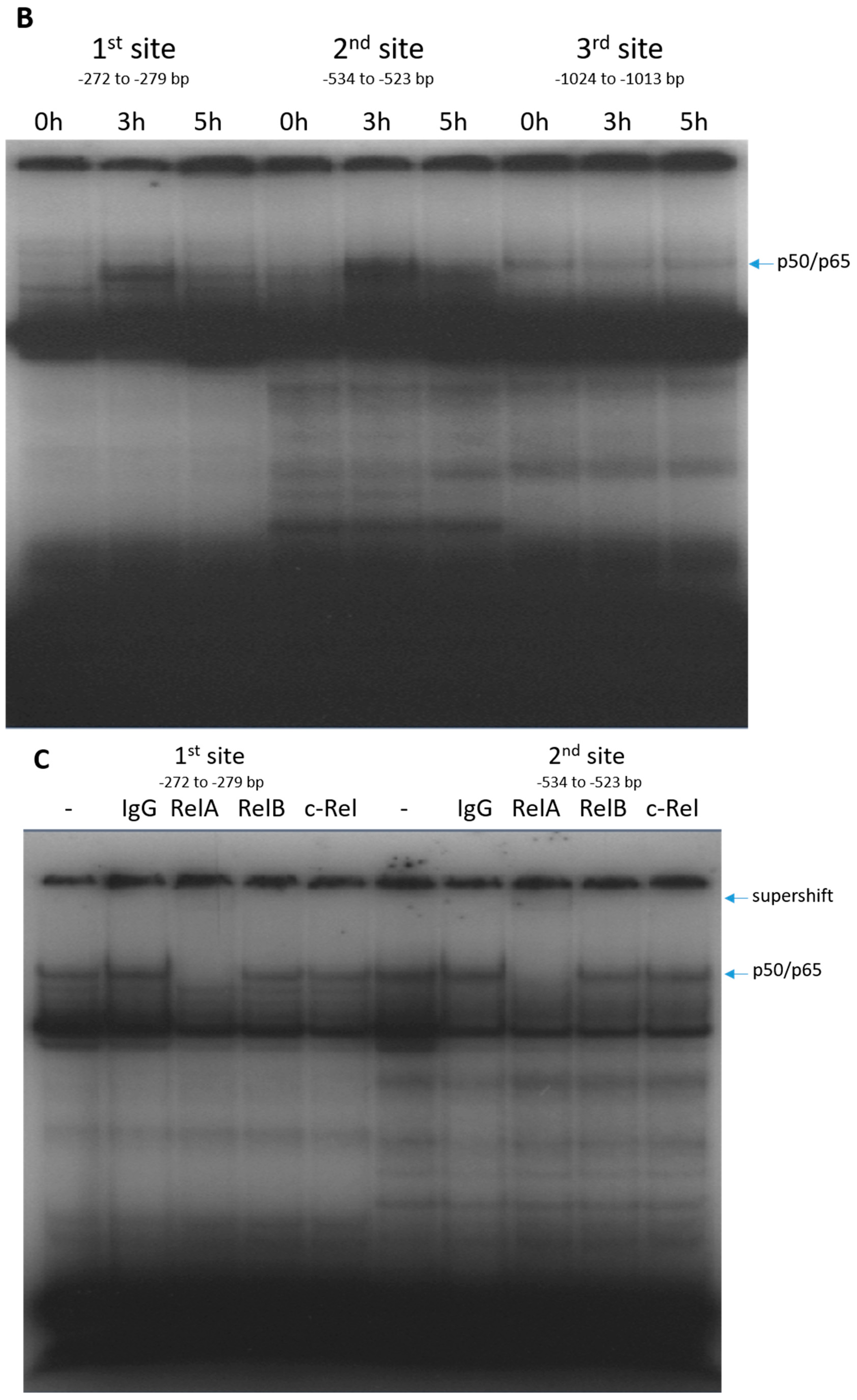 Ijms 19 01661 g003b